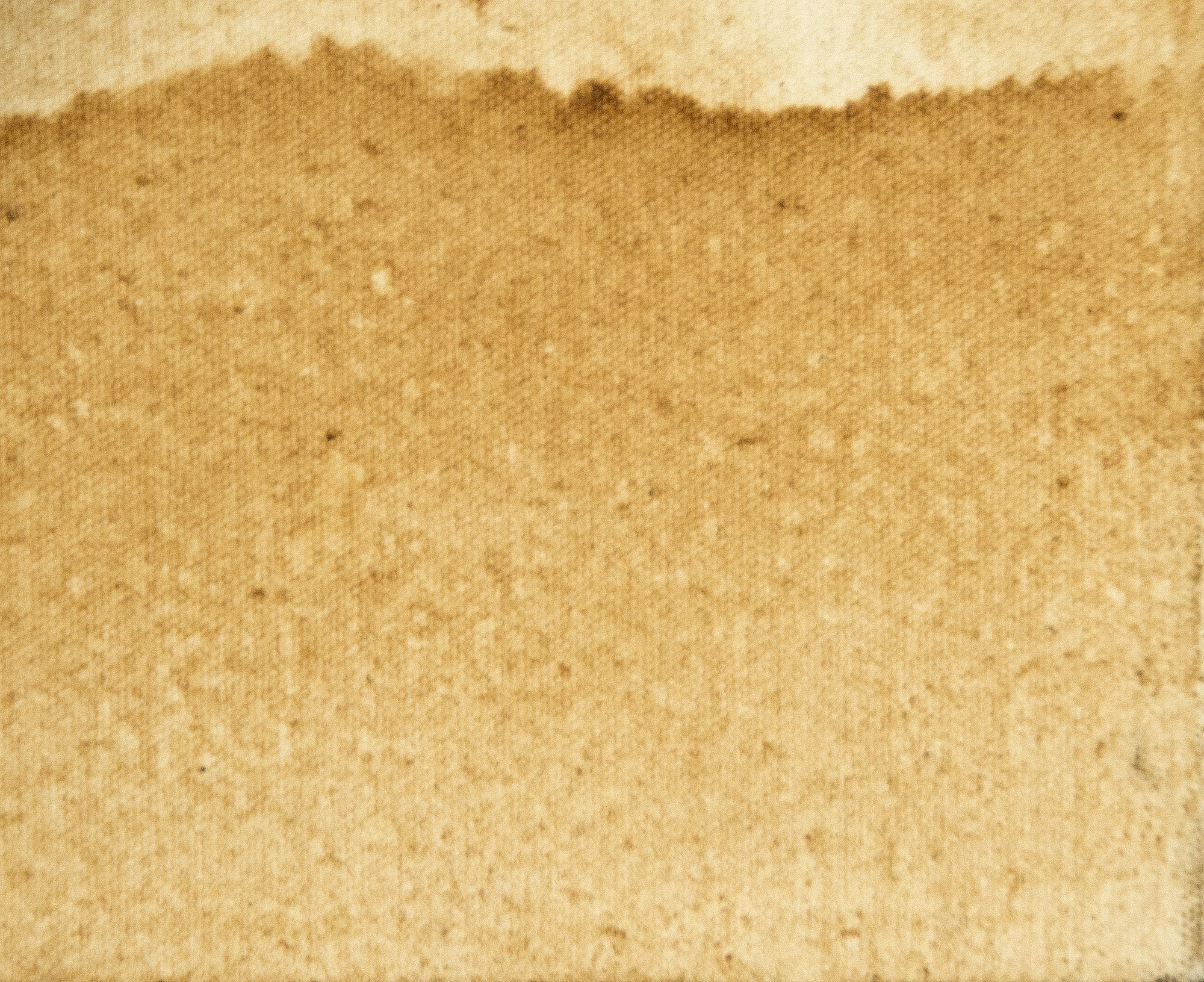 HERB ALPERT - Optical Illusion - coffee on canvas - 24 x 36 in.