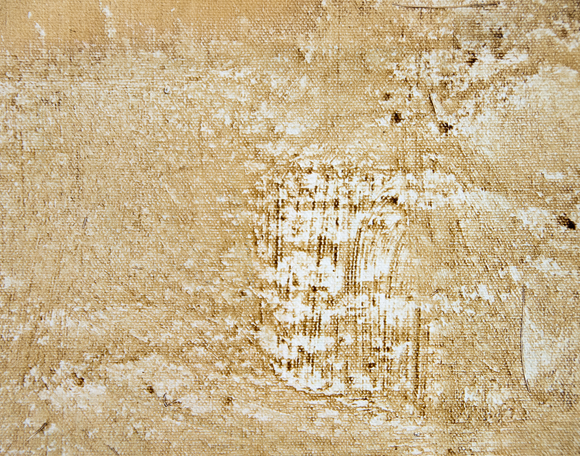 HERB ALPERT - Chicago - acrylic and coffee on canvas - 60 x 48 in.