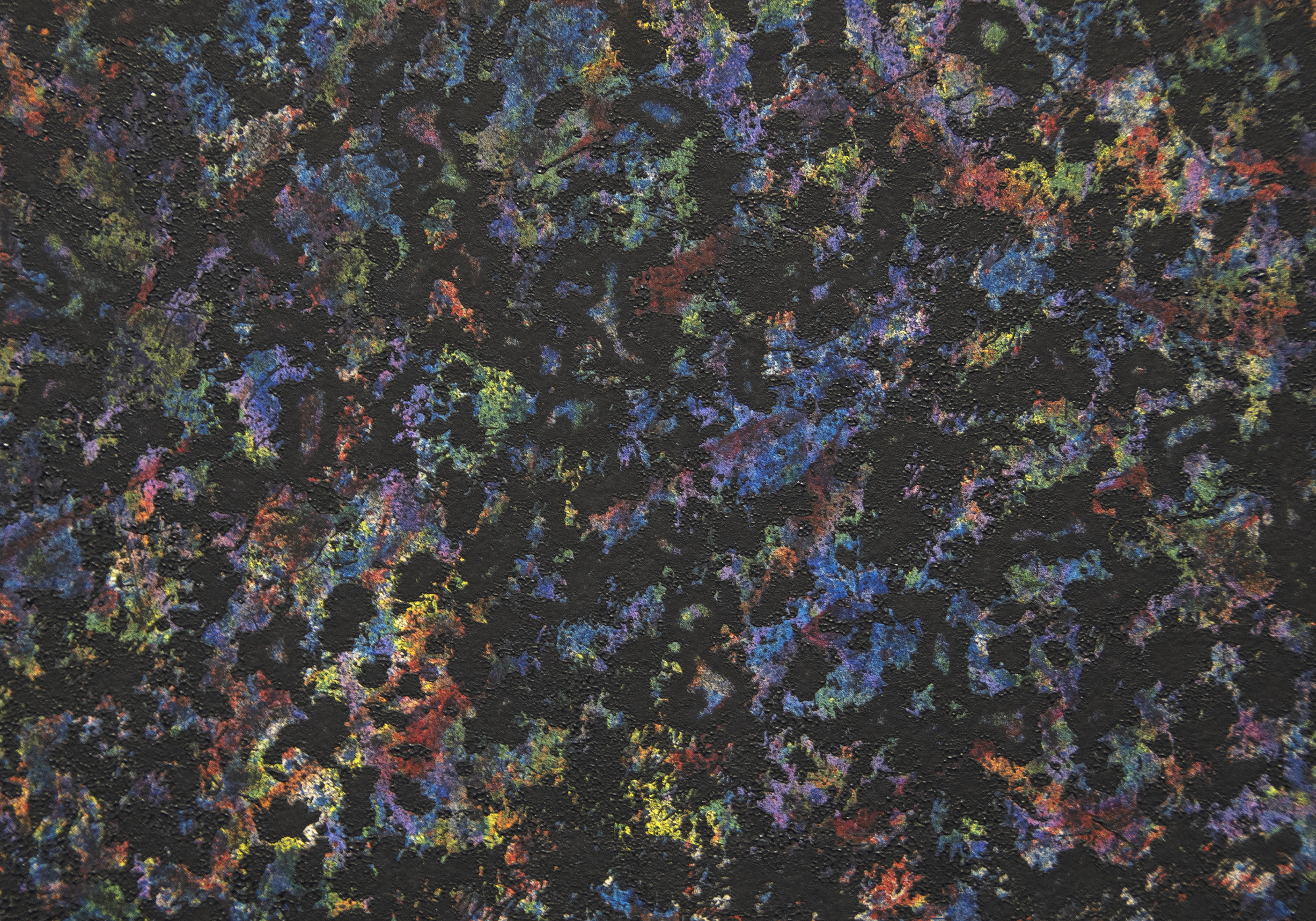 萨姆-吉利姆--咖啡百里香（黑色）--彩色石版画，橡皮图章，约翰-科勒特制HMP纸上压印--31 3/4 x 44英寸。