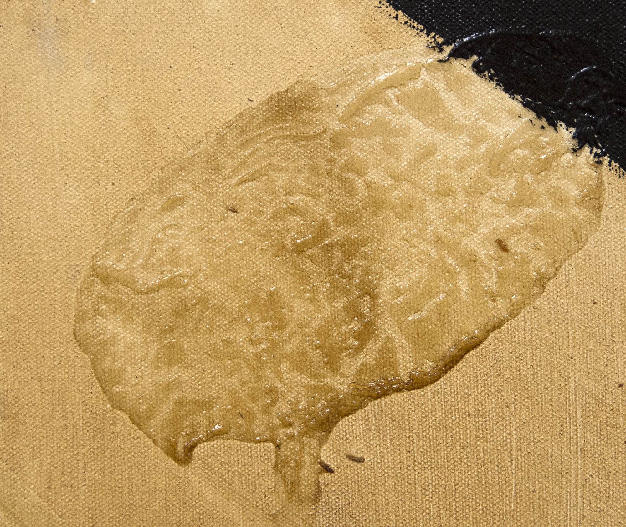 HERB ALPERT - Floating Aura - acrylic and coffee on canvas - 48 x 36 in.
