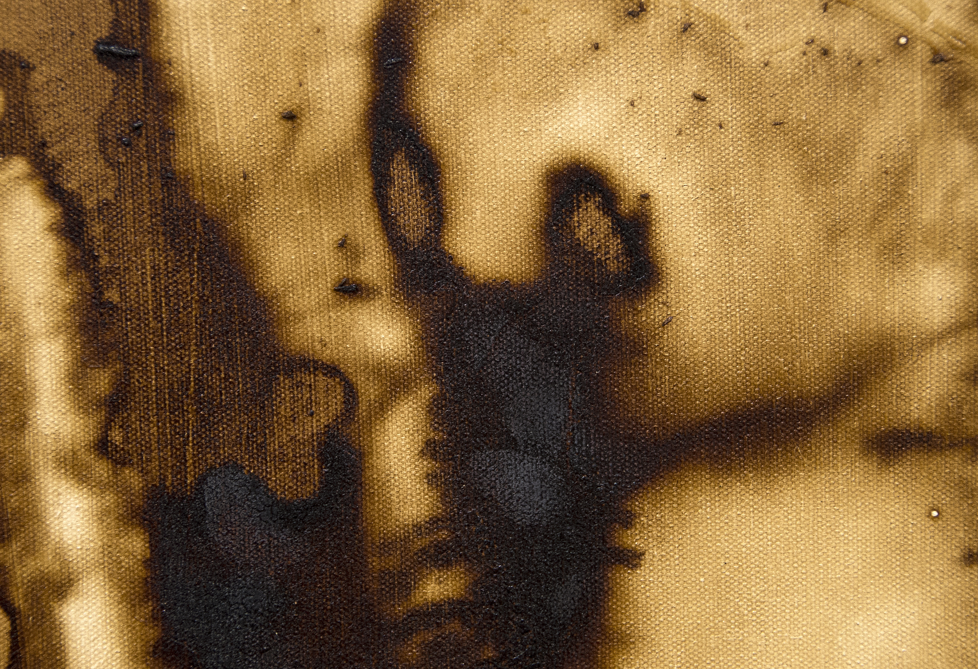 HERB ALPERT - Floating Aura - acrylic and coffee on canvas - 48 x 36 in.