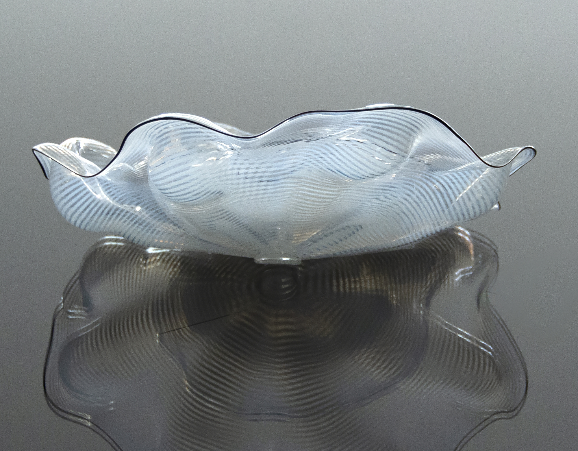 DALE CHIHULY - White Seaform with Black Lip Wraps DALE CHIHULY - White Seaform with Black Lip Wraps - blown glass - 5 x 11 1/4 x 9 1/2 in.