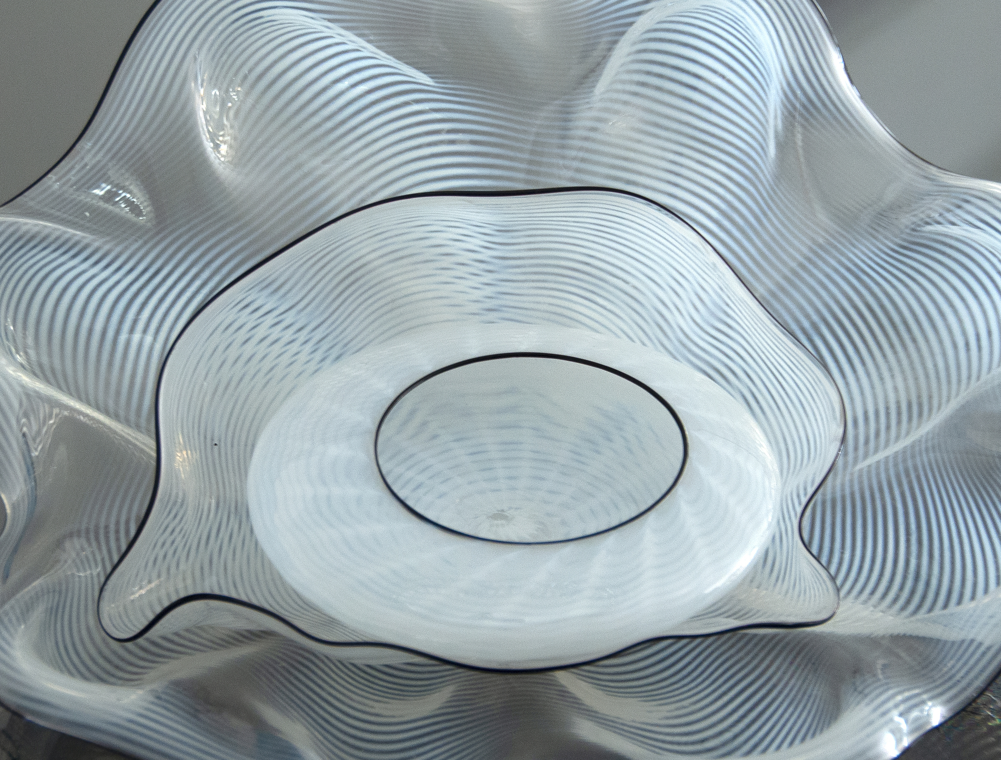 DALE CHIHULY - White Seaform with Black Lip Wraps DALE CHIHULY - White Seaform with Black Lip Wraps - blown glass - 5 x 11 1/4 x 9 1/2 in.