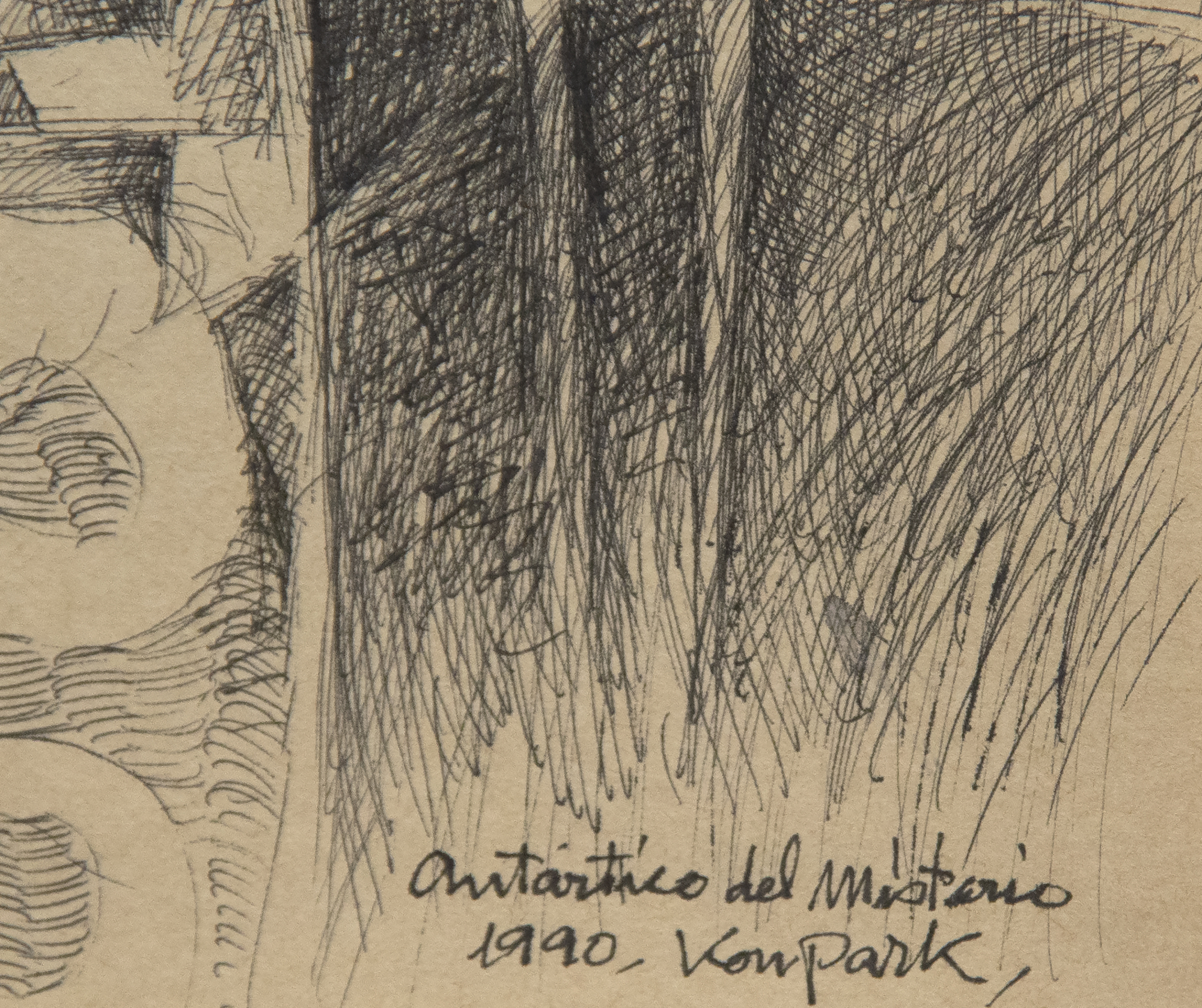 JAE KON PARK - Mystery of the Artic JAE KON PARK - Mystery of the Artic - ink on paper - 14 x 12 1/2 in.