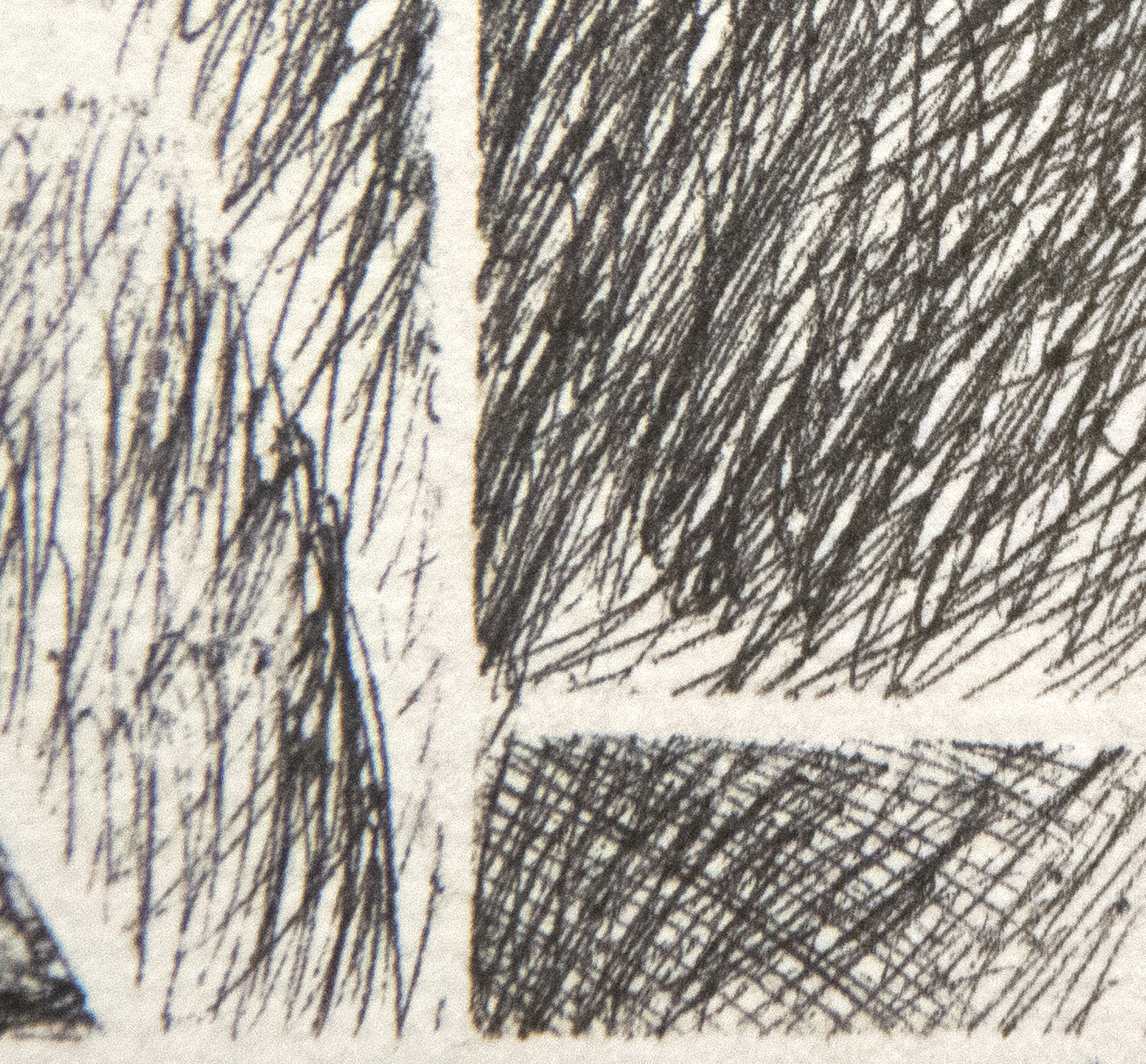 JAE KON PARK - Life Roots JAE KON PARK - Life Roots - ink on paper - 12 1/4 x 9 in.