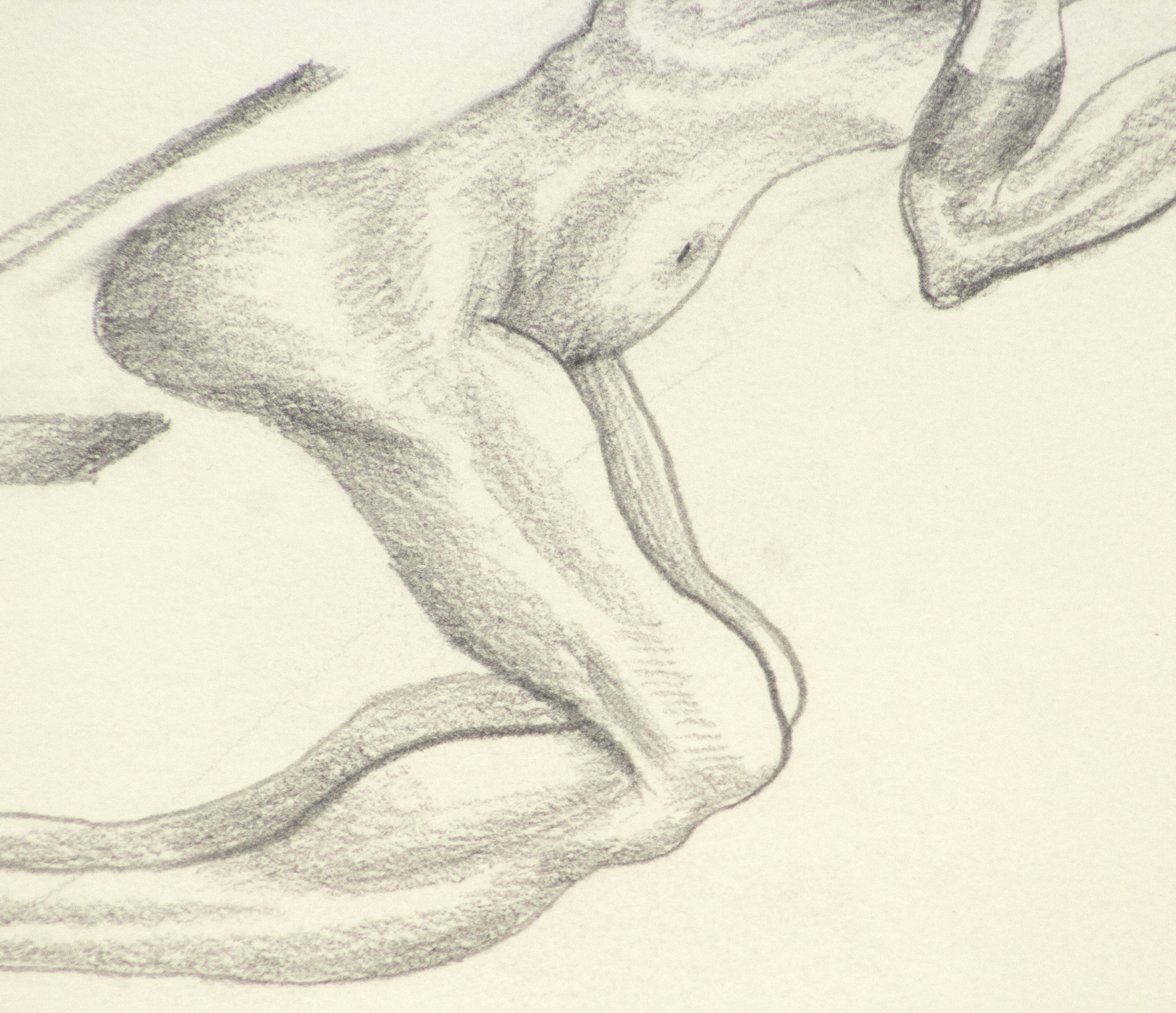 IRVING NORMAN - Untitled - pencil on paper - 9 5/8 x 7 in.
