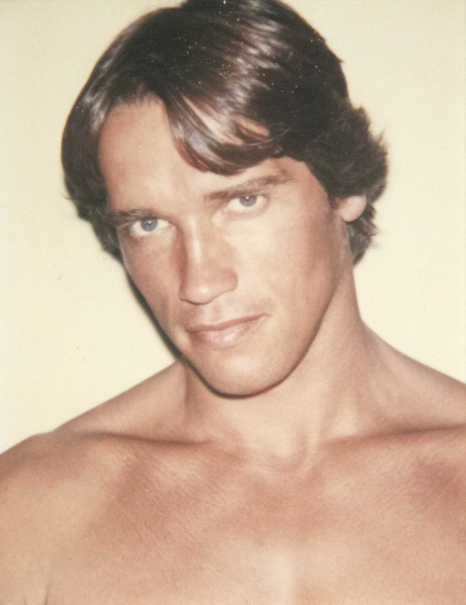 ANDY WARHOL - Arnold Schwarzenegger - Polaroid, Polacolor - 4 1/4 x 3 3/8 in.