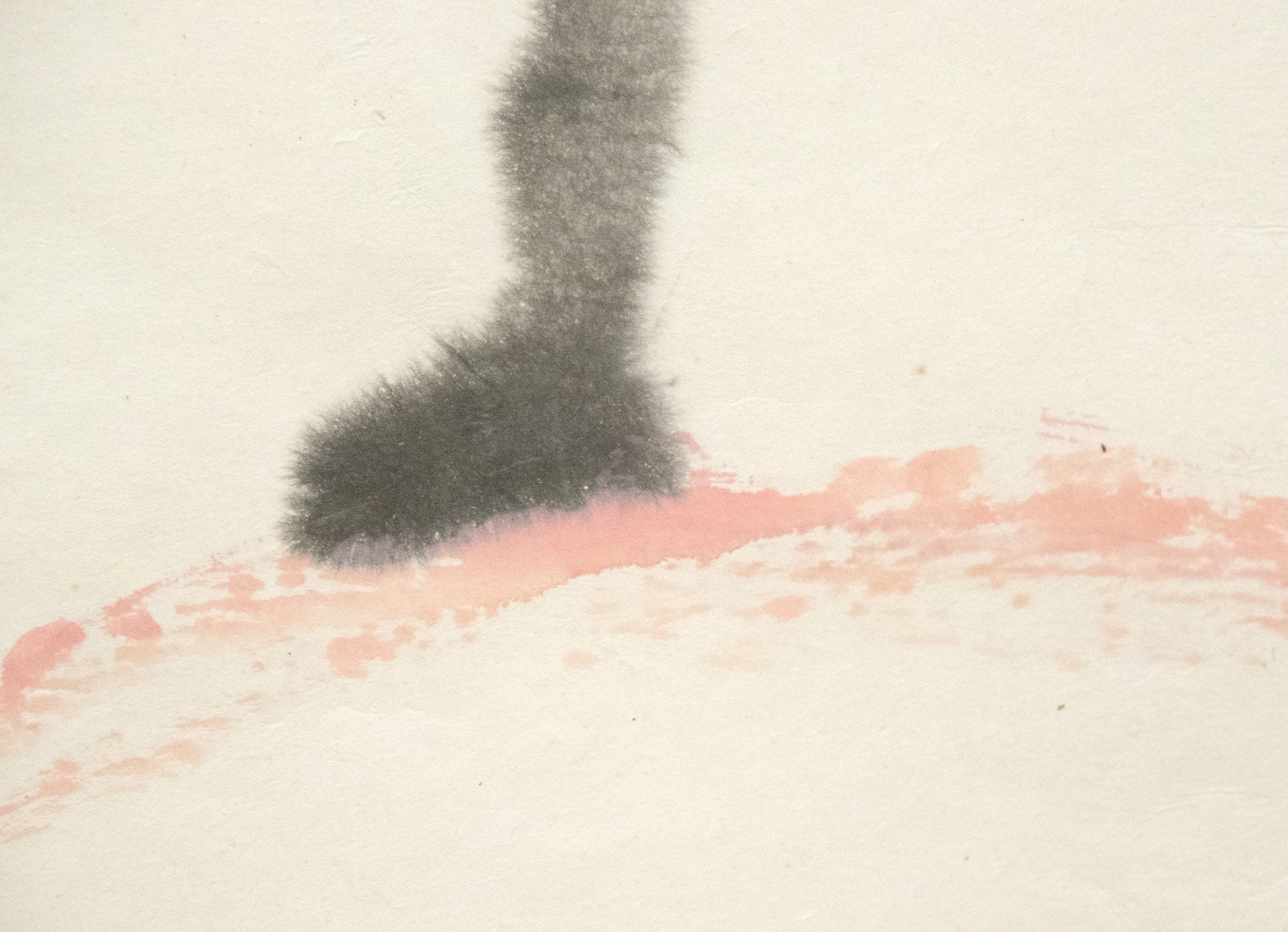 SE OK SUH - Untitled SE OK SUH - Untitled - ink wash on paper - 40 x 44 in.