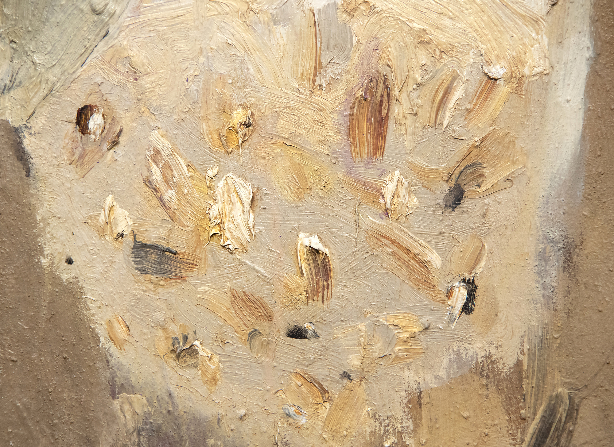 ناثان OLIVEIRA - قناع - الاكريليك والأرض والنفط على قماش - 66 × 54 في.