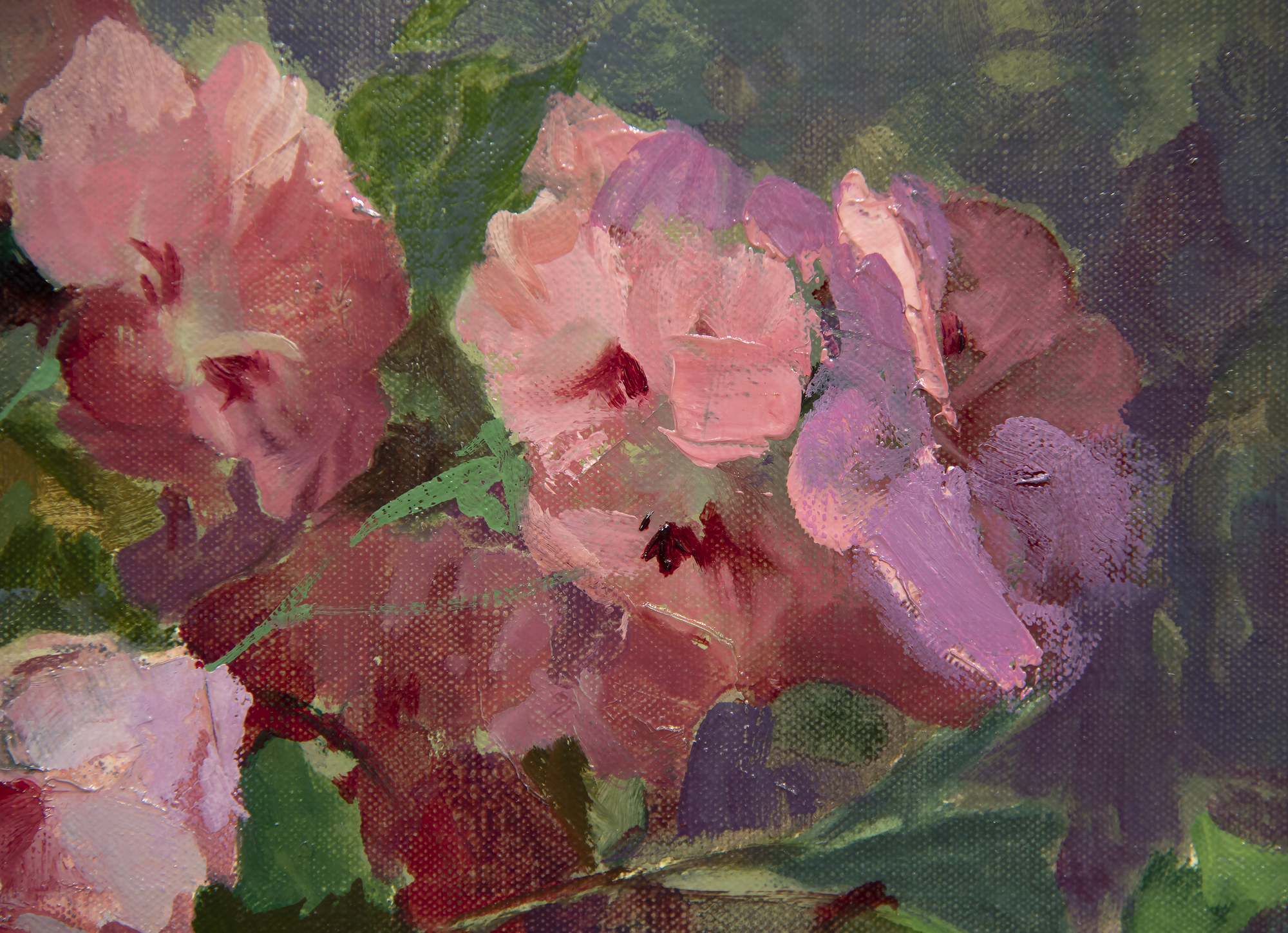 NELL WALKER WARNER - Pelargoniums - óleo sobre lienzo - 26 x 30 in.