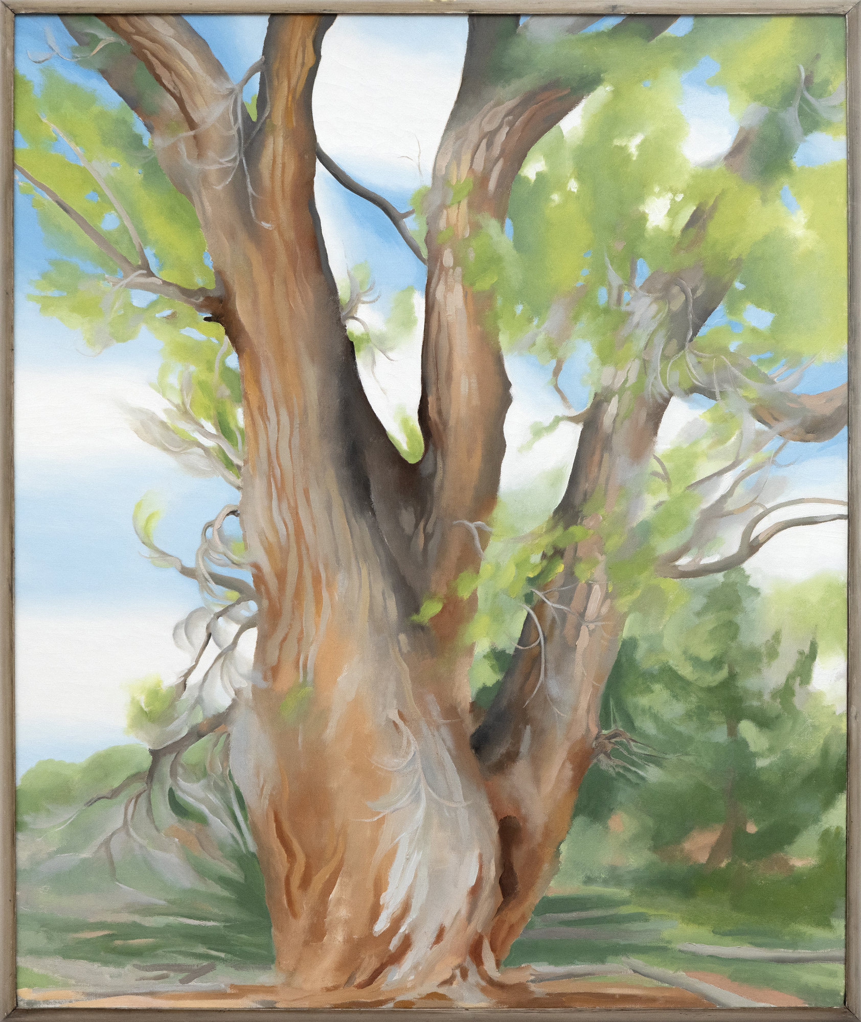 GEORGIA O'KEEFFE - Cottonwood Tree (Near Abiquiu), New Mexico Cottonwood Tree (Near Abiquiu), New Mexico (1943) by celebrated American artist Georgia O’Keeffe is exemplary of the airier, more naturalistic style that the desert inspired in her. O’Keeffe had great affinity for the distinctive beauty of the Southwest, and made her home there among the spindly trees, dramatic vistas, and bleached animal skulls that she so frequently painted. O’Keeffe took up residence at Ghost Ranch, a dude ranch twelve miles outside of the village of Abiquiú in northern New Mexico and painted this cottonwood tree around there. The softer style befitting this subject is a departure from her bold architectural landscapes and jewel-toned flowers.<br><br>The cottonwood tree is abstracted into soft patches of verdant greens through which more delineated branches are seen, spiraling in space against pockets of blue sky. The modeling of the trunk and delicate energy in the leaves carry forward past experimentations with the regional trees of the Northeast that had captivated O’Keeffe years earlier: maples, chestnuts, cedars, and poplars, among others. Two dramatic canvases from 1924, Autumn Trees, The Maple and The Chestnut Grey, are early instances of lyrical and resolute centrality, respectively. As seen in these early tree paintings, O’Keeffe exaggerated the sensibility of her subject with color and form.<br><br>In her 1974 book, O’Keeffe explained: “The meaning of a word— to me— is not as exact as the meaning of a color. Color and shapes make a more definite statement than words.” Her exacting, expressive color intrigued. The Precisionist painter Charles Demuth described how, in O’Keeffe’s work, “each color almost regains the fun it must have felt within itself on forming the first rainbow” (As quoted in C. Eldridge, Georgia O’Keeffe, New York, 1991, p. 33). As well, congruities between forms knit together her oeuvre. Subjects like hills and petals undulate alike, while antlers, trees, and tributaries correspond in their branching morphology.<br><br>The sinewy contours and gradated hues characteristic of O’Keeffe find an incredible range across decades of her tree paintings. In New Mexico, O’Keeffe returned to the cottonwood motif many times, and the seasonality of this desert tree inspired many forms. The vernal thrill of new growth was channeled into spiraling compositions like Spring Tree No.1 (1945). Then, cottonwood trees turned a vivid autumnal yellow provided a breathtaking compliment to the blue backdrop of Mount Pedernal. The ossified curves of Dead Cottonweed Tree (1943) contain dramatic pools of light and dark, providing a foil to the warm, breathing quality of this painting, Cottonwood Tree (Near Abiquiu). The aural quality of this feathered cottonwood compels a feeling guided by O’Keeffe’s use of form of color.