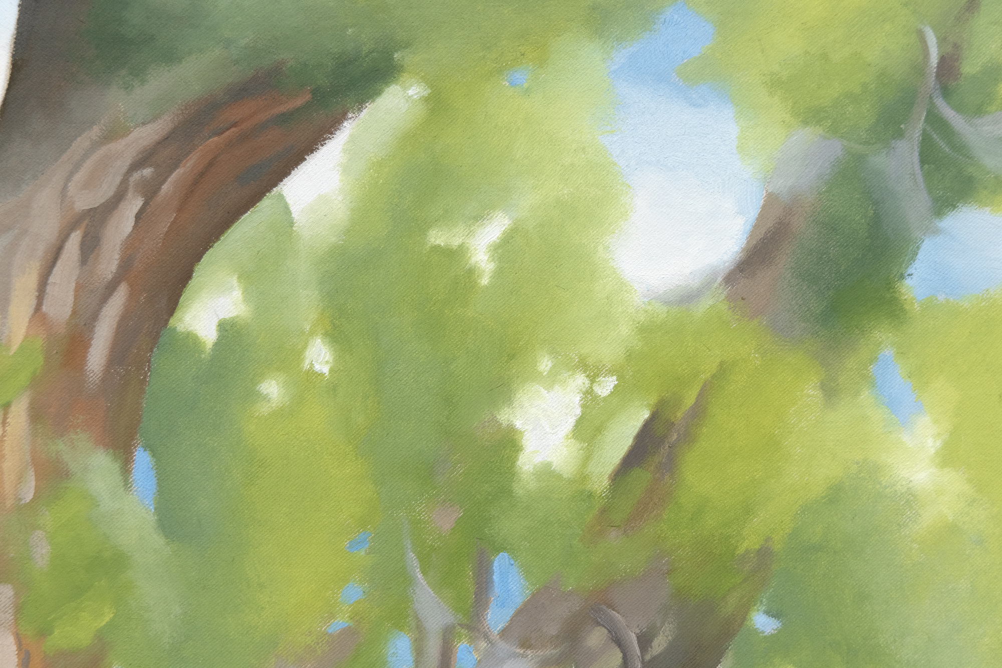 GEORGIA O'KEEFFE - Cottonwood Tree (Near Abiquiu), New Mexico Cottonwood Tree (Near Abiquiu), New Mexico (1943) by celebrated American artist Georgia O’Keeffe is exemplary of the airier, more naturalistic style that the desert inspired in her. O’Keeffe had great affinity for the distinctive beauty of the Southwest, and made her home there among the spindly trees, dramatic vistas, and bleached animal skulls that she so frequently painted. O’Keeffe took up residence at Ghost Ranch, a dude ranch twelve miles outside of the village of Abiquiú in northern New Mexico and painted this cottonwood tree around there. The softer style befitting this subject is a departure from her bold architectural landscapes and jewel-toned flowers.<br><br>The cottonwood tree is abstracted into soft patches of verdant greens through which more delineated branches are seen, spiraling in space against pockets of blue sky. The modeling of the trunk and delicate energy in the leaves carry forward past experimentations with the regional trees of the Northeast that had captivated O’Keeffe years earlier: maples, chestnuts, cedars, and poplars, among others. Two dramatic canvases from 1924, Autumn Trees, The Maple and The Chestnut Grey, are early instances of lyrical and resolute centrality, respectively. As seen in these early tree paintings, O’Keeffe exaggerated the sensibility of her subject with color and form.<br><br>In her 1974 book, O’Keeffe explained: “The meaning of a word— to me— is not as exact as the meaning of a color. Color and shapes make a more definite statement than words.” Her exacting, expressive color intrigued. The Precisionist painter Charles Demuth described how, in O’Keeffe’s work, “each color almost regains the fun it must have felt within itself on forming the first rainbow” (As quoted in C. Eldridge, Georgia O’Keeffe, New York, 1991, p. 33). As well, congruities between forms knit together her oeuvre. Subjects like hills and petals undulate alike, while antlers, trees, and tributaries correspond in their branching morphology.<br><br>The sinewy contours and gradated hues characteristic of O’Keeffe find an incredible range across decades of her tree paintings. In New Mexico, O’Keeffe returned to the cottonwood motif many times, and the seasonality of this desert tree inspired many forms. The vernal thrill of new growth was channeled into spiraling compositions like Spring Tree No.1 (1945). Then, cottonwood trees turned a vivid autumnal yellow provided a breathtaking compliment to the blue backdrop of Mount Pedernal. The ossified curves of Dead Cottonweed Tree (1943) contain dramatic pools of light and dark, providing a foil to the warm, breathing quality of this painting, Cottonwood Tree (Near Abiquiu). The aural quality of this feathered cottonwood compels a feeling guided by O’Keeffe’s use of form of color.