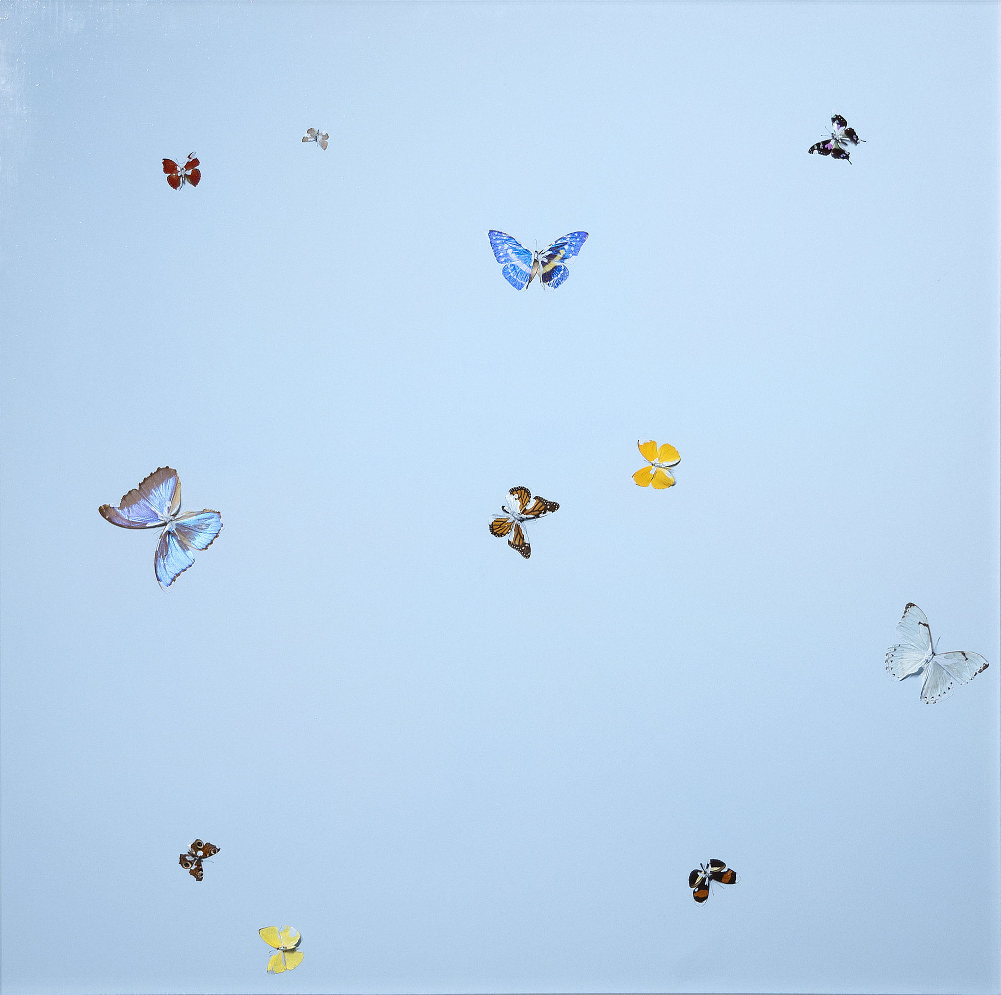 DAMIEN HIRST - Forgotten Thoughts - butterflies and household gloss on canvas - 68 x 68 x 1 3/8 in. (point-to-point)