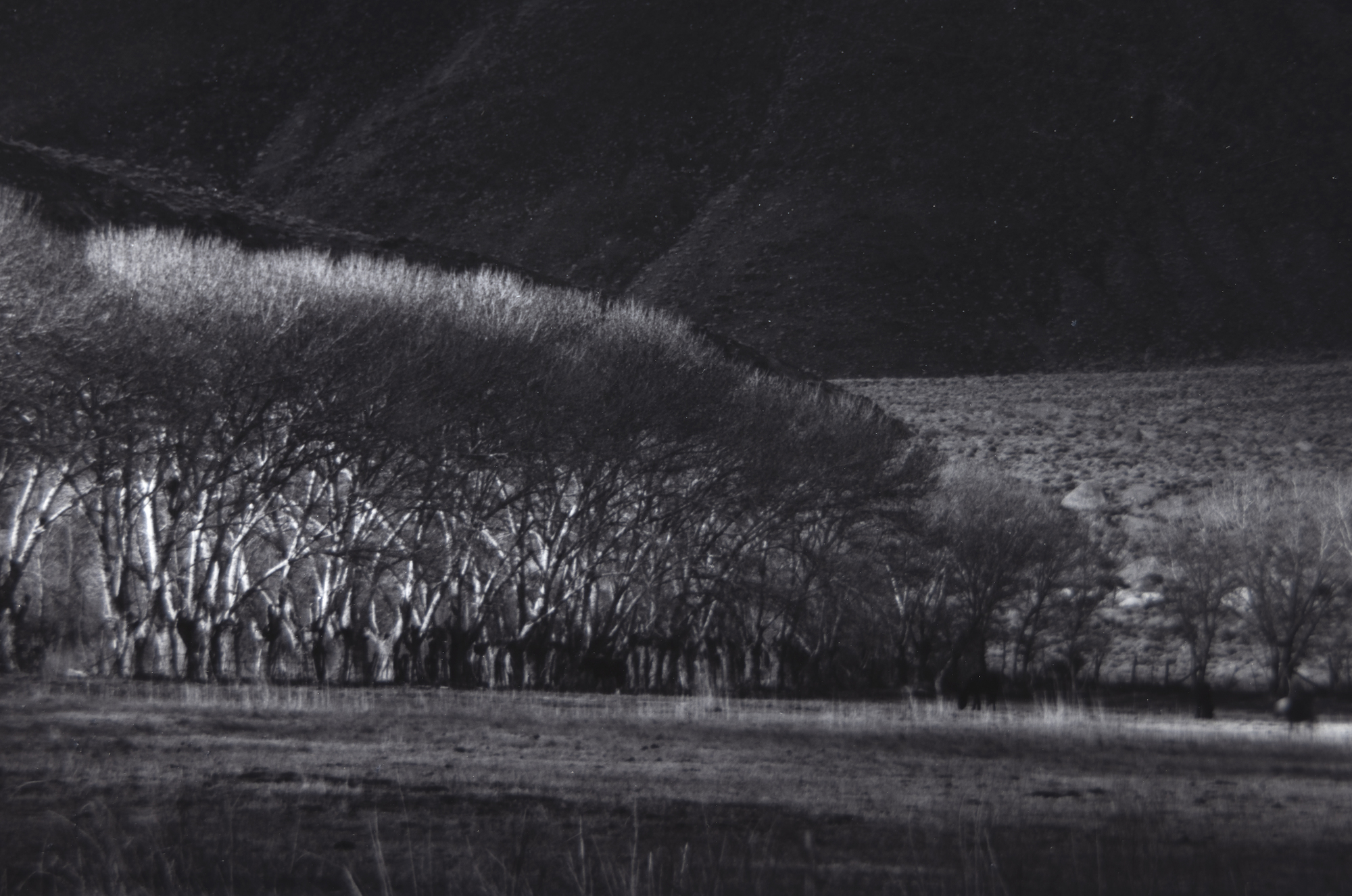 ANSEL ADAMS - Winter Sunrise, Sierra Nevada from Lone Pine - gelatin silver print - 18 3/4 x 22 3/4 in.