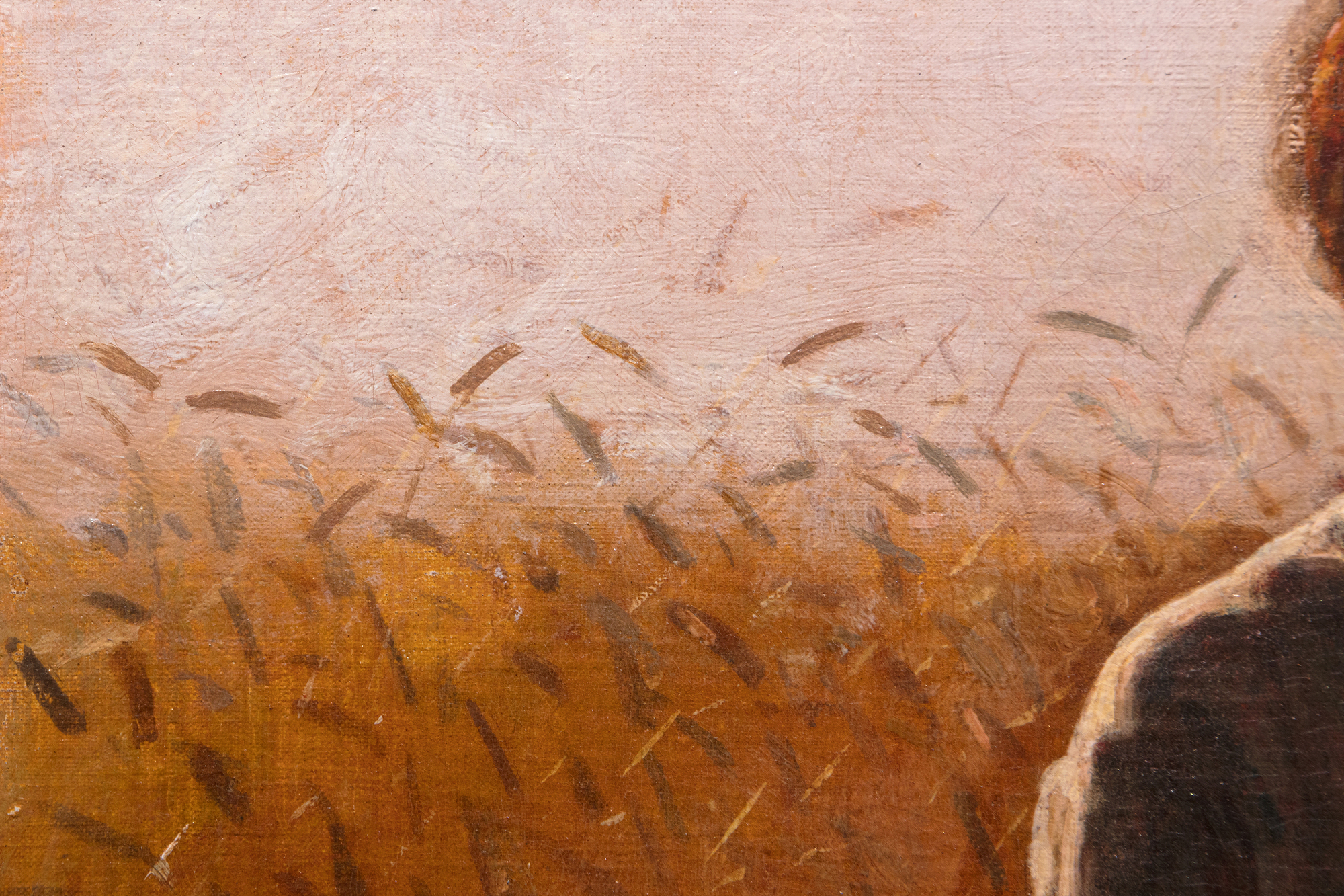 A principios de la década de 1870, Winslow Homer pintaba con frecuencia escenas de la vida en el campo cerca de una pequeña aldea agrícola famosa durante generaciones por sus notables plantaciones de trigo, situada entre el río Hudson y los Catskills, en el estado de Nueva York. Hoy en día Hurley es mucho más famoso por haber inspirado una de las mayores obras de Homer, Snap the Whip (Chasquear el látigo), pintada el verano de 1872. Entre los muchos otros cuadros inspirados en la región, Muchacha de pie en el campo de trigo es rico en sentimientos, pero no demasiado sentimentalista. Está directamente relacionado con un estudio de 1866 pintado en Francia y titulado In the Wheatfields (En los campos de trigo), y con otro pintado al año siguiente de su regreso a América. Pero, sin duda, Homero se habría sentido más orgulloso de éste. Se trata de un retrato, un estudio de vestuario, un cuadro de género en la gran tradición de la pintura pastoril europea, y un espectacular tour de force atmosférico a contraluz, impregnado de la luz de las horas crepusculares que se desvanece rápidamente, animado con notas lambiscentes y floridas y toques de espigas de trigo. En 1874, Homer envió cuatro cuadros a la exposición de la Academia Nacional de Diseño. Uno se titulaba "Muchacha". ¿No podría ser éste?
