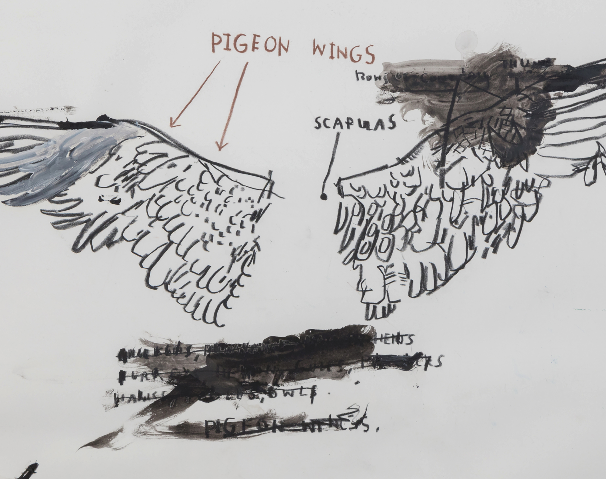 JEAN-MICHEL BASQUIAT - Untitled (Pigeon Anatomy) JEAN-MICHEL BASQUIAT - Untitled (Pigeon Anatomy) - oil, graphite, and chalk on paper - 22 x 30 in.