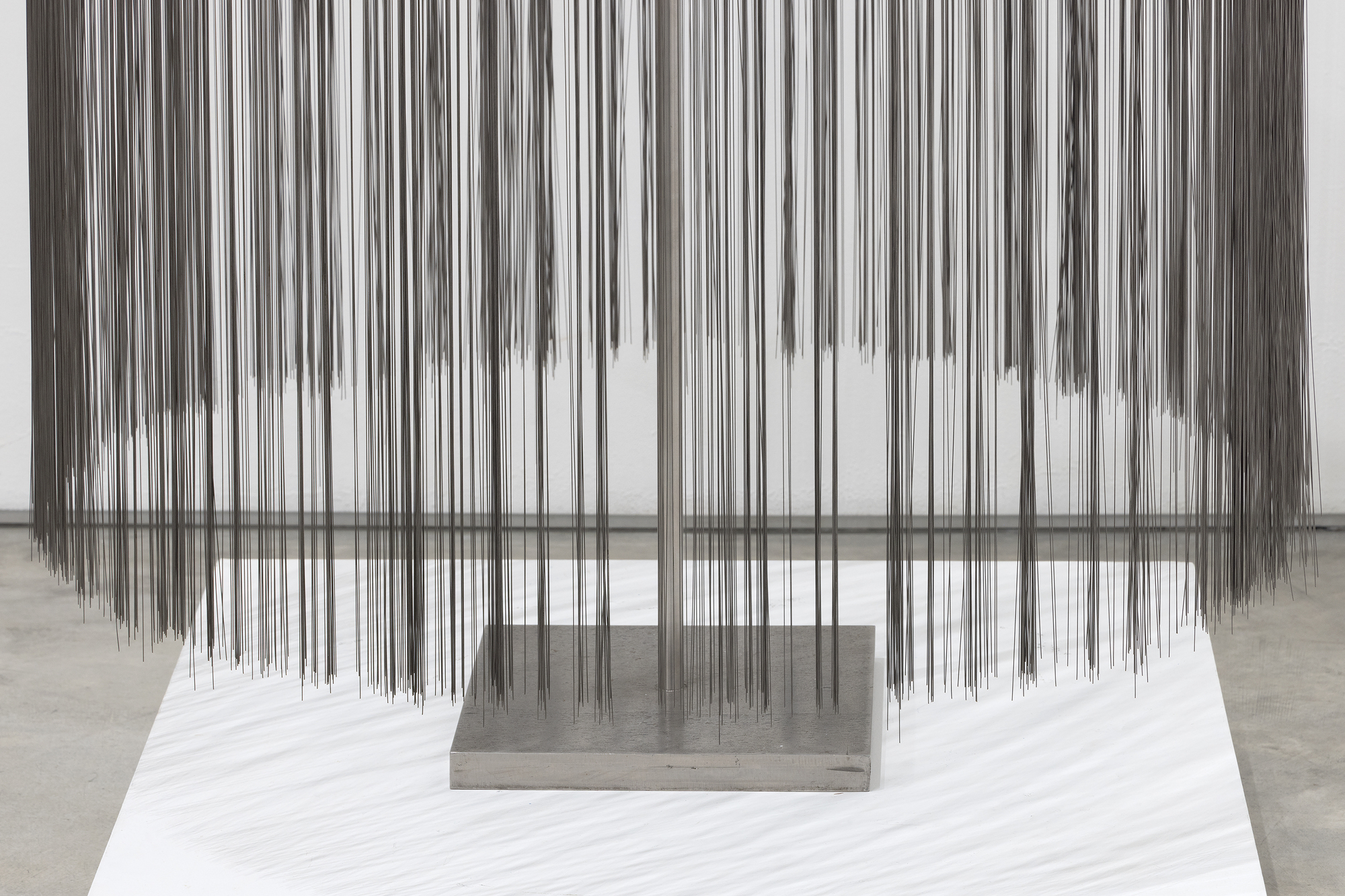 HARRY BERTOIA - Untitled (Willow) <div><font face=Lato size=3 color=black>In Harry Bertoia's oeuvre, "<em>Willow</em>" stands apart as an extraordinary synthesis of natural inspiration and innovative metalwork. Its cascading strands of stainless-steel capture the weeping elegance of a willow tree's drooping branches while introducing a dynamic, interactive quality through its shimmering surface and subtle responsiveness to movement. The strands—whether referred to as "tinsels," "filaments," or "tendrils"—reflect the delicacy of natural forms, blending artistry with technical mastery.</font></div>
<br>
<br><div><font face=Lato size=3> </font></div>
<br>
<br><div><font face=Lato size=3 color=black>Bertoia, a visionary sculptor with an unparalleled ability to transform industrial materials into organic beauty, likely employed meticulous processes to create "<em>Willow,</em>" cutting thin sheets of stainless steel into fine strips and expertly attaching them to a central core, positioning each strand to flow like water or sway like leaves in the breeze. The tactile quality of the strands, which respond to air currents or touch, invites the viewer into a contemplative engagement with the work, much like one might feel beneath the canopy of a willow tree.</font></div>
<br>
<br><div><font face=Lato size=3> </font></div>
<br>
<br><div><font face=Lato size=3 color=black>This piece epitomizes Bertoia's lifelong fascination with nature, stemming from his early years in the rural village of San Lorenzo, Italy. His sensitivity to the organic world continually informed his artistic practice, from his celebrated Sonambient sound sculptures to creations like “<em>Willow</em>, “which reimagine the relationship between form and environment. As he once said, "I no longer hold onto terms like music and sculpture. Those old distinctions have lost all their meaning."</font></div>
<br>
<br><div><font face=Lato size=3> </font></div>
<br>
<br><div><font face=Lato size=3 color=black>Once again , Bertoia captivates us by reaching beyond the traditional boundaries of sculpture, delivering a work that is as much a sensory experience as a visual one. It is a harmonious blend of natural inspiration and innovative artistry, a reminder of the sacred beauty found in the intersection of art and the natural world.</font></div>