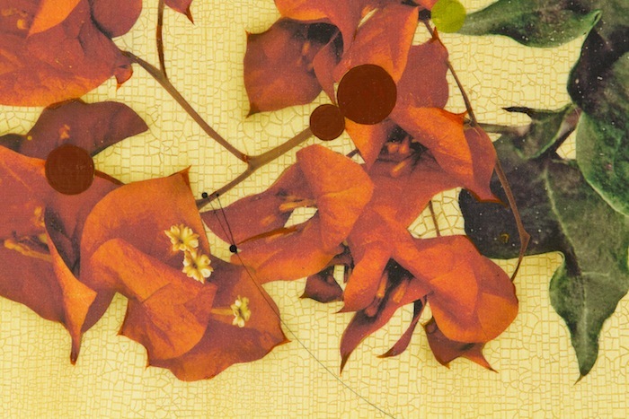 KAORU MANSOUR - Iro (hana) #497 - mixed media on canvas - 30 x 40 in.
