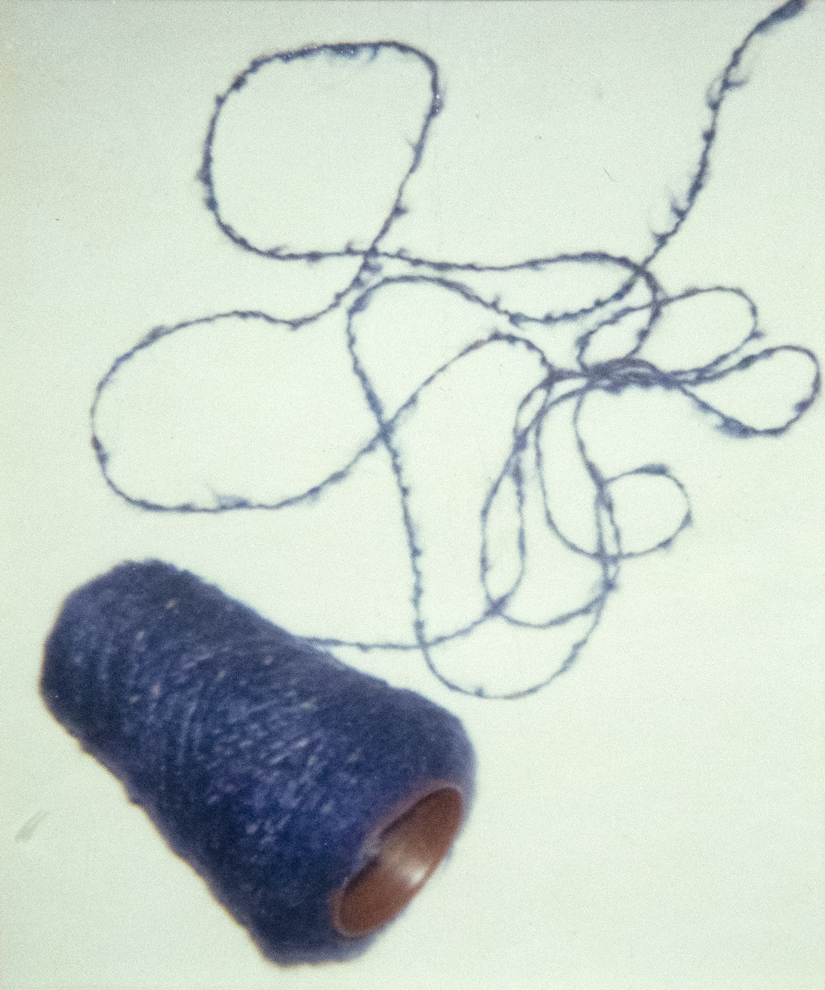 ANDY WARHOL - Fancy Yarn ANDY WARHOL - Fancy Yarn - Polaroid, Polacolor - 4 1/4 x 3 3/8 in. ea.
