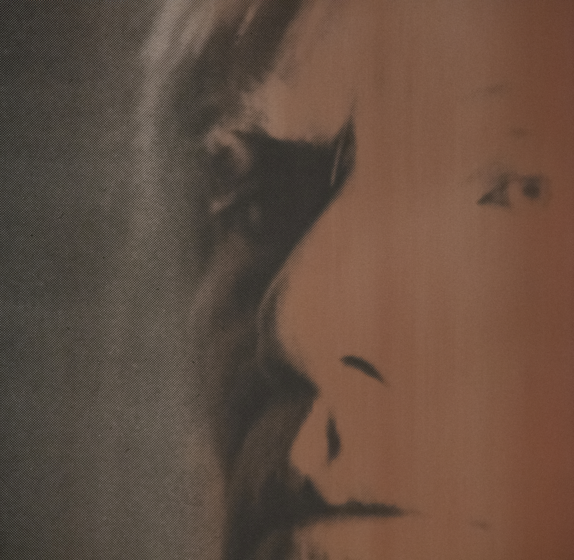ANDY WARHOL - The Shadow (神話より) - 紙にダイヤモンドダスト入りカラースクリーンプリント - 37 1/2 x 37 1/2 in.