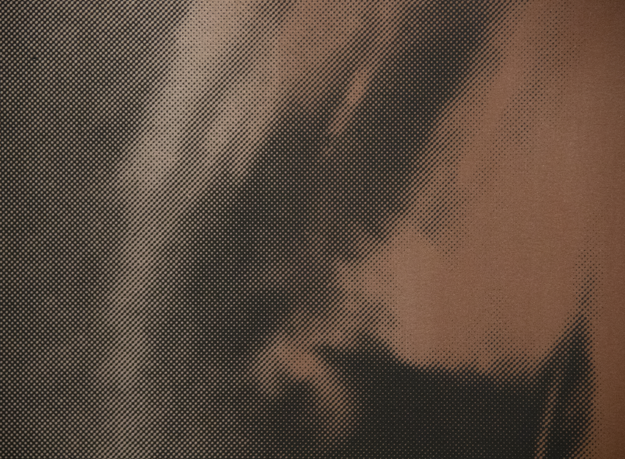 ANDY WARHOL - The Shadow (神話より) - 紙にダイヤモンドダスト入りカラースクリーンプリント - 37 1/2 x 37 1/2 in.