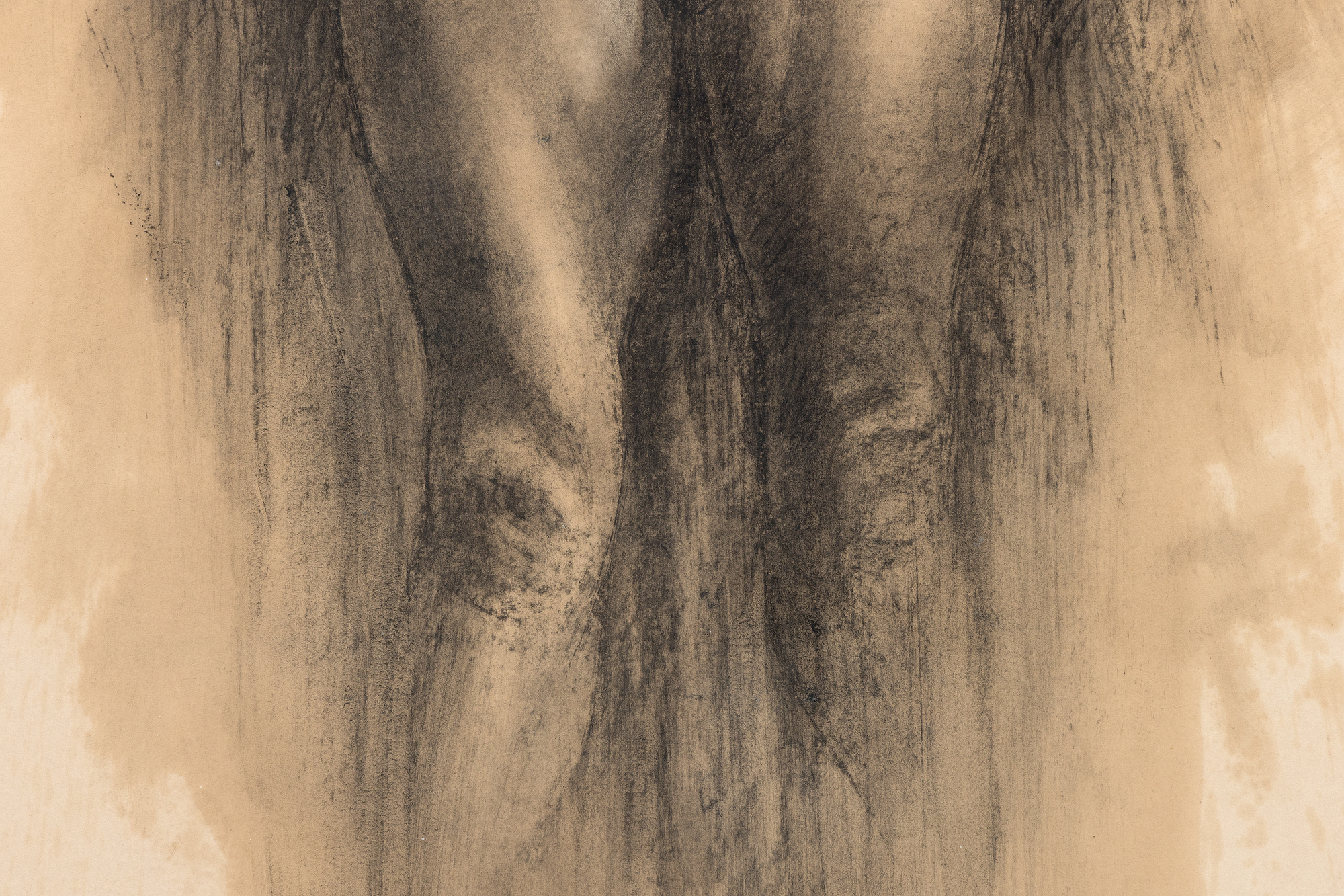 CHARLES WHITE - Patience Y - charcoal, paint, and wax crayon on paper - 51 1/2 x 39 1/2 in.