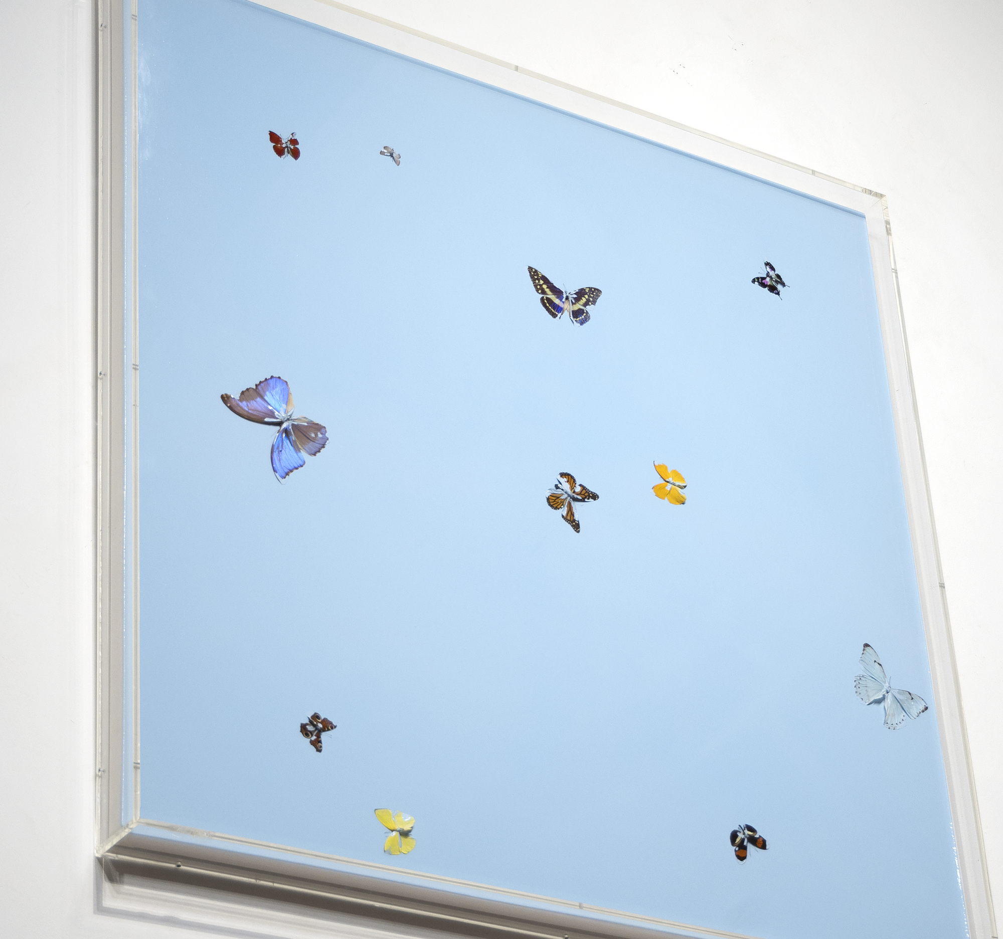 DAMIEN HIRST - Forgotten Thoughts - 蝶と家庭用グロス、キャンバス - 68 x 68 x 1 3/8 in (point-to-point).