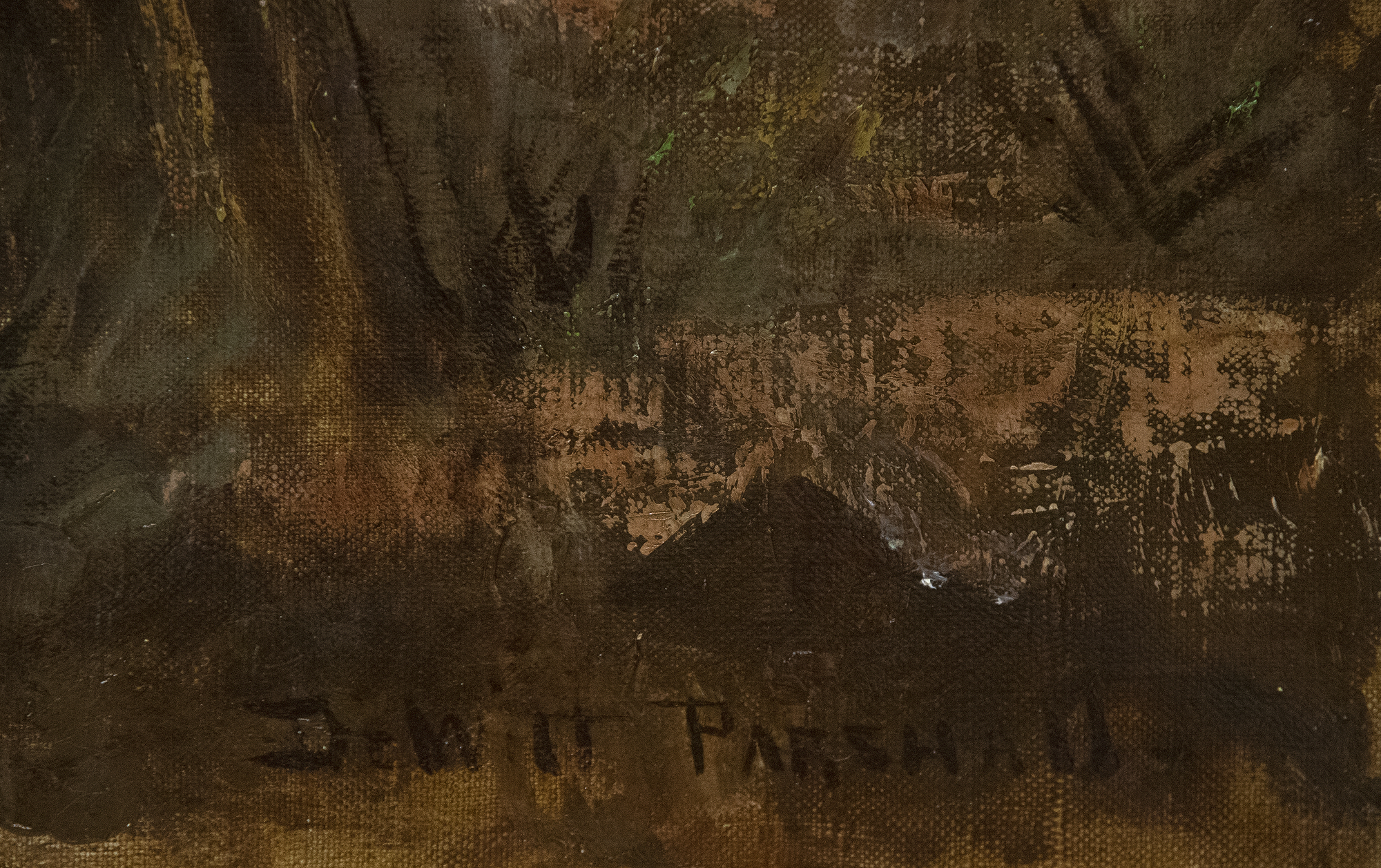 DEWITT PARSHALL - Hermit Creek Canyon, Grand Canyon DEWITT PARSHALL - Hermit Creek Canyon, Grand Canyon - oil on canvas - 40 3/4 x 50 in.