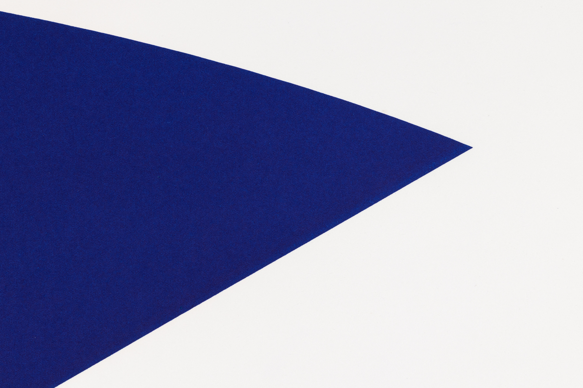 ELLSWORTH KELLY - Untitled, (from portfolio Eight by Eight to celebrate the Temporary Contemporary) - lithograph on arches paper - 28 3/4 x 40 3/4 in.