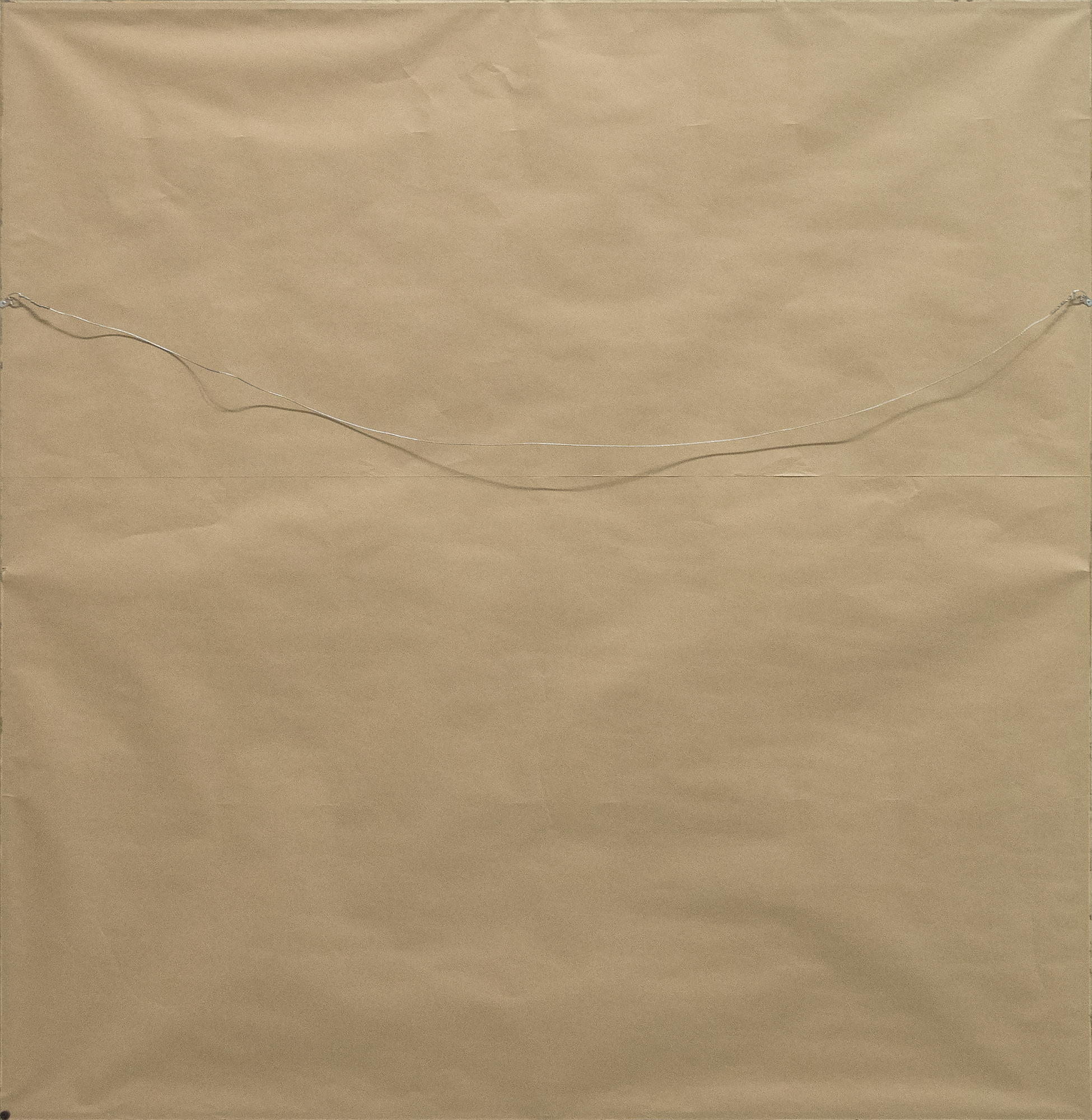 ERIC JON HOLSWADE - White Flowers - oil on flashe - 60 x 55 in.