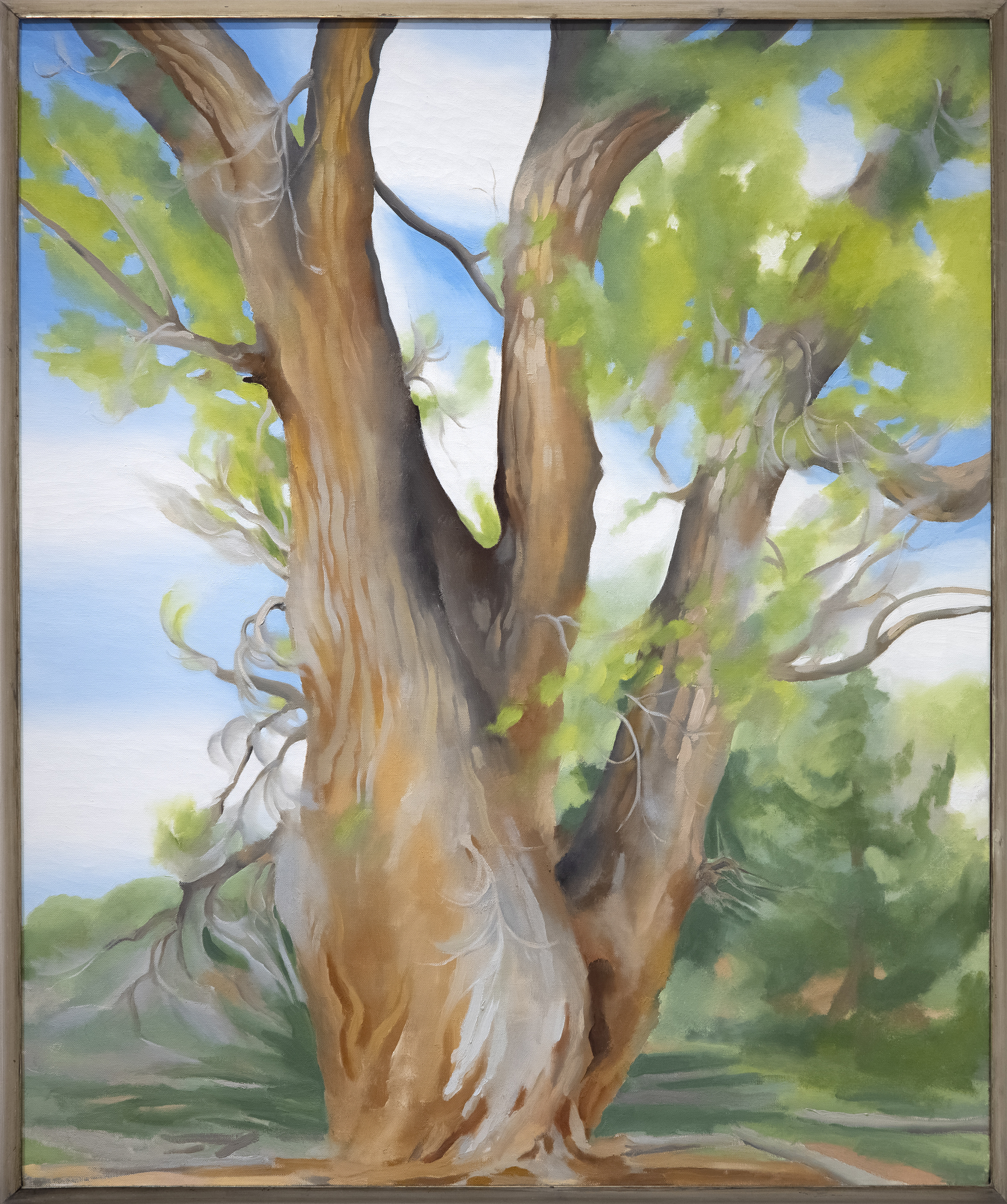 Cottonwood Tree (Near Abiquiu), New Mexico (1943) by celebrated American artist Georgia O’Keeffe is exemplary of the airier, more naturalistic style that the desert inspired in her. O’Keeffe had great affinity for the distinctive beauty of the Southwest, and made her home there among the spindly trees, dramatic vistas, and bleached animal skulls that she so frequently painted. O’Keeffe took up residence at Ghost Ranch, a dude ranch twelve miles outside of the village of Abiquiú in northern New Mexico and painted this cottonwood tree around there. The softer style befitting this subject is a departure from her bold architectural landscapes and jewel-toned flowers.&lt;br&gt;&lt;br&gt;The cottonwood tree is abstracted into soft patches of verdant greens through which more delineated branches are seen, spiraling in space against pockets of blue sky. The modeling of the trunk and delicate energy in the leaves carry forward past experimentations with the regional trees of the Northeast that had captivated O’Keeffe years earlier: maples, chestnuts, cedars, and poplars, among others. Two dramatic canvases from 1924, Autumn Trees, The Maple and The Chestnut Grey, are early instances of lyrical and resolute centrality, respectively. As seen in these early tree paintings, O’Keeffe exaggerated the sensibility of her subject with color and form.&lt;br&gt;&lt;br&gt;In her 1974 book, O’Keeffe explained: “The meaning of a word— to me— is not as exact as the meaning of a color. Color and shapes make a more definite statement than words.” Her exacting, expressive color intrigued. The Precisionist painter Charles Demuth described how, in O’Keeffe’s work, “each color almost regains the fun it must have felt within itself on forming the first rainbow” (As quoted in C. Eldridge, Georgia O’Keeffe, New York, 1991, p. 33). As well, congruities between forms knit together her oeuvre. Subjects like hills and petals undulate alike, while antlers, trees, and tributaries correspond in their branching morphology.&lt;br&gt;&lt;br&gt;The sinewy contours and gradated hues characteristic of O’Keeffe find an incredible range across decades of her tree paintings. In New Mexico, O’Keeffe returned to the cottonwood motif many times, and the seasonality of this desert tree inspired many forms. The vernal thrill of new growth was channeled into spiraling compositions like Spring Tree No.1 (1945). Then, cottonwood trees turned a vivid autumnal yellow provided a breathtaking compliment to the blue backdrop of Mount Pedernal. The ossified curves of Dead Cottonweed Tree (1943) contain dramatic pools of light and dark, providing a foil to the warm, breathing quality of this painting, Cottonwood Tree (Near Abiquiu). The aural quality of this feathered cottonwood compels a feeling guided by O’Keeffe’s use of form of color.