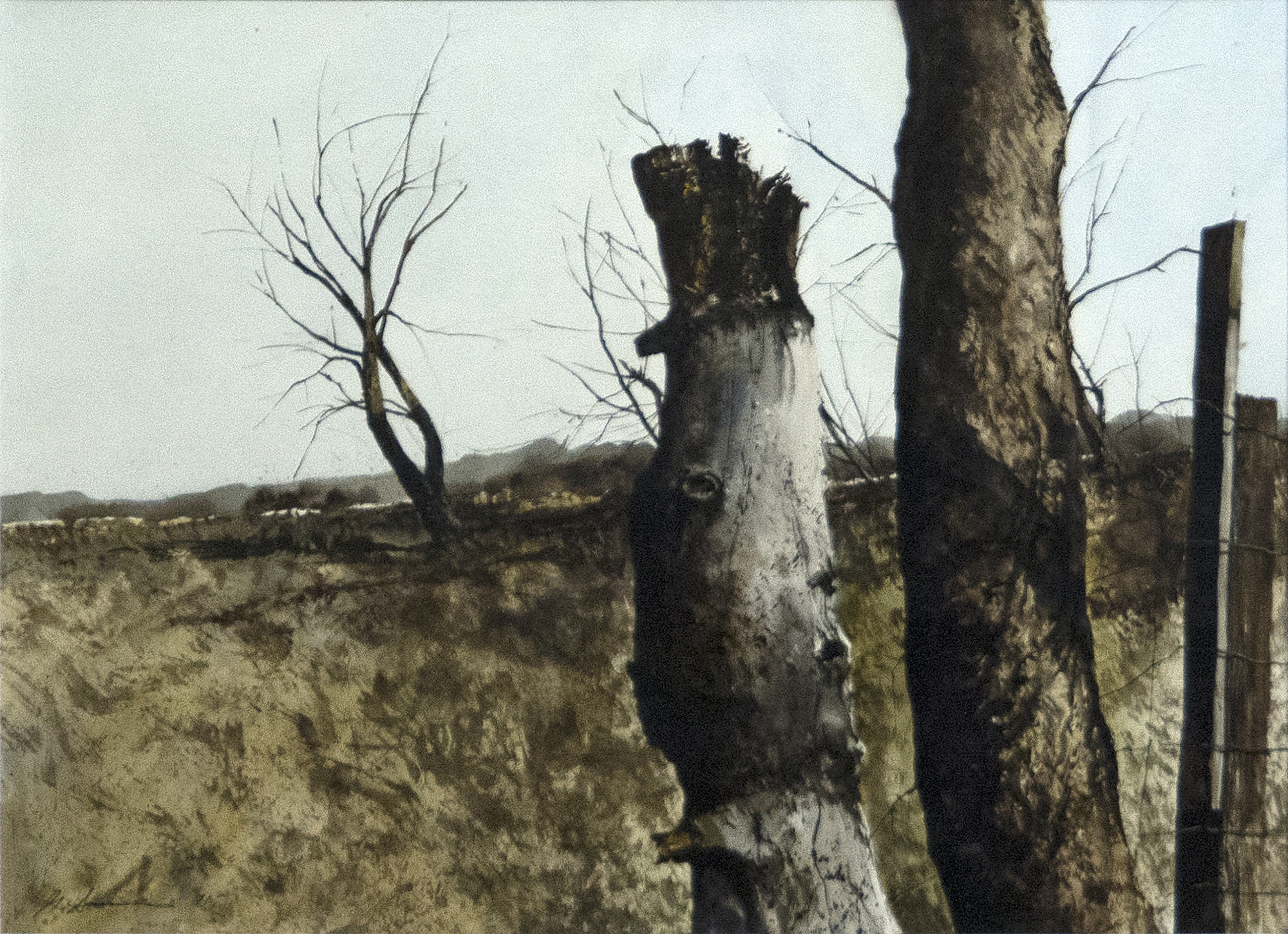 GREGORY SUMIDA - Fence Support GREGORY SUMIDA - Fence Support - watercolor - 22 x 30 in.