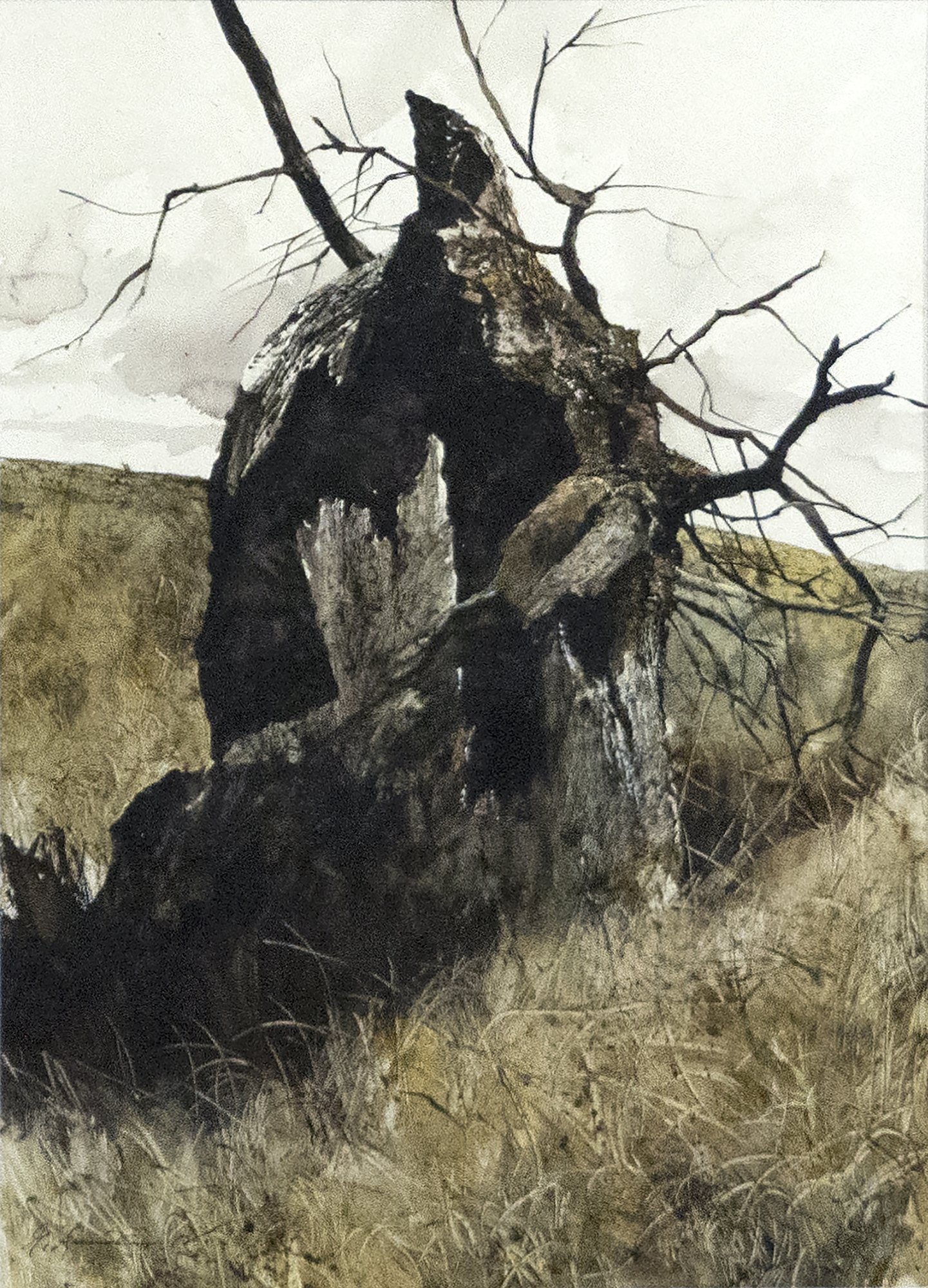 GREGORY SUMIDA - Hollow Tree, Hollow Trunk GREGORY SUMIDA - Hollow Tree, Hollow Trunk - watercolor on pressed board - 30 x 22 in.