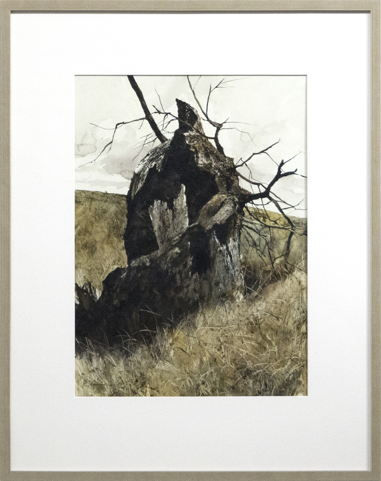 GREGORY SUMIDA - Hollow Tree, Hollow Trunk GREGORY SUMIDA - Hollow Tree, Hollow Trunk - watercolor on pressed board - 30 x 22 in.