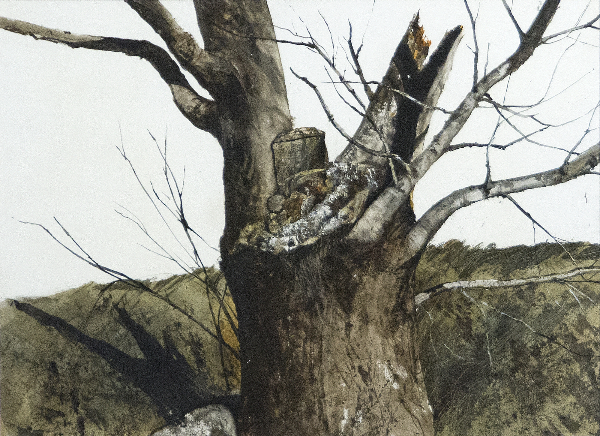 GREGORY SUMIDA - Supported GREGORY SUMIDA - Supported - watercolor on watercolor board - 22 x 30 in.