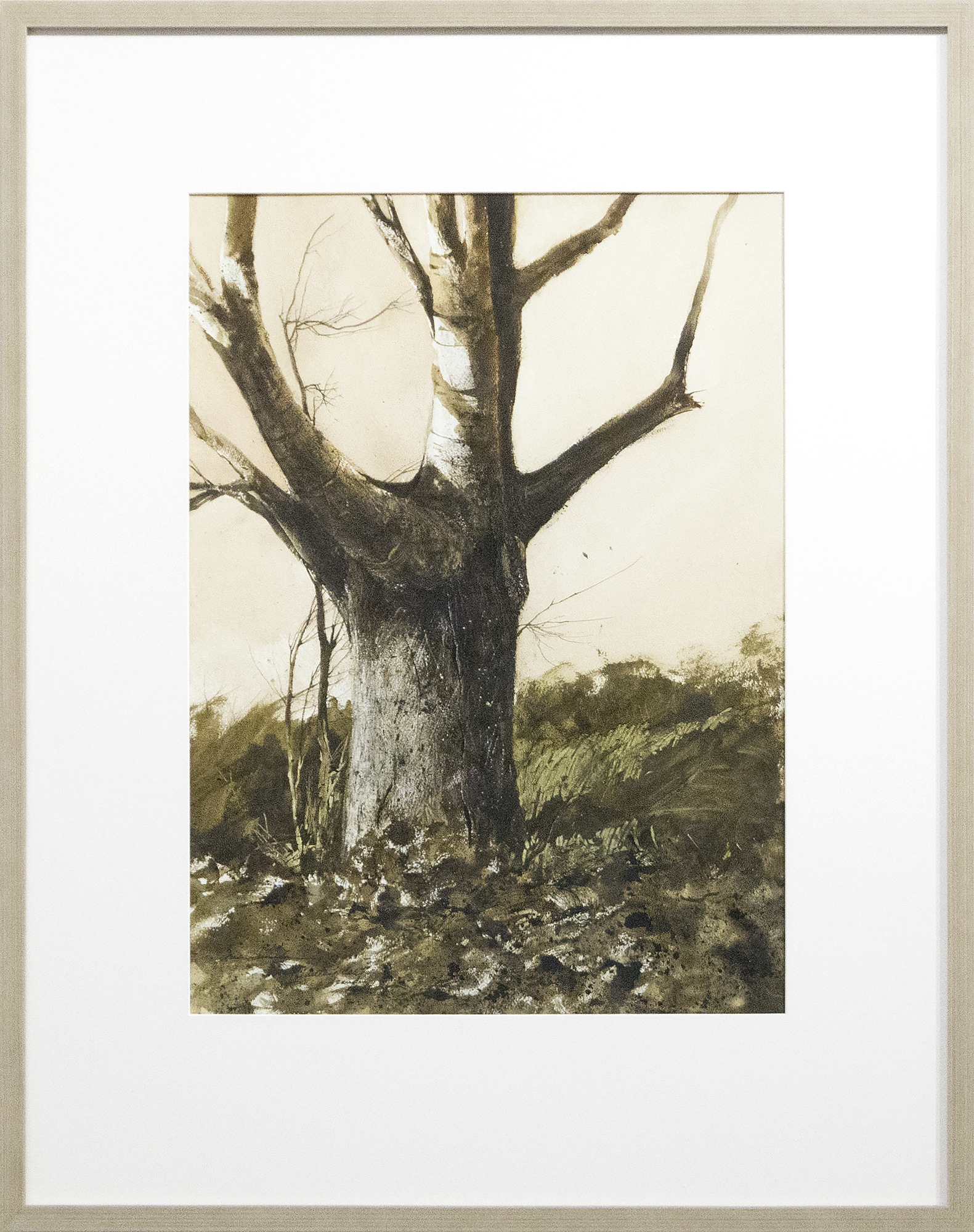 GREGORY SUMIDA - Tree Study, Whittier, CA GREGORY SUMIDA - Tree Study, Whittier, CA - watercolor on watercolor board - 30 x 22 in.