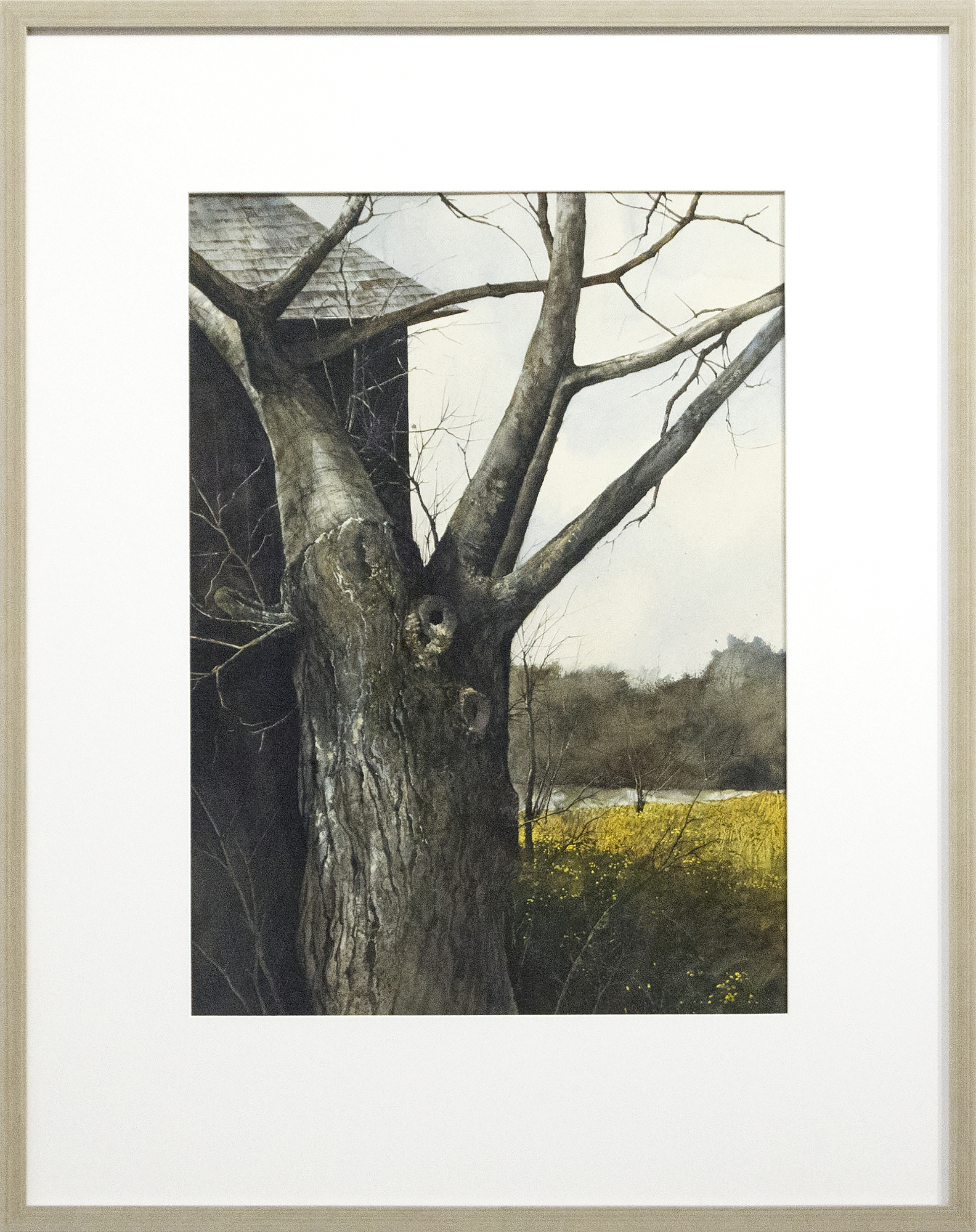GREGORY SUMIDA - Tree with Bare Branches - watercolor - 22 x 30 in.