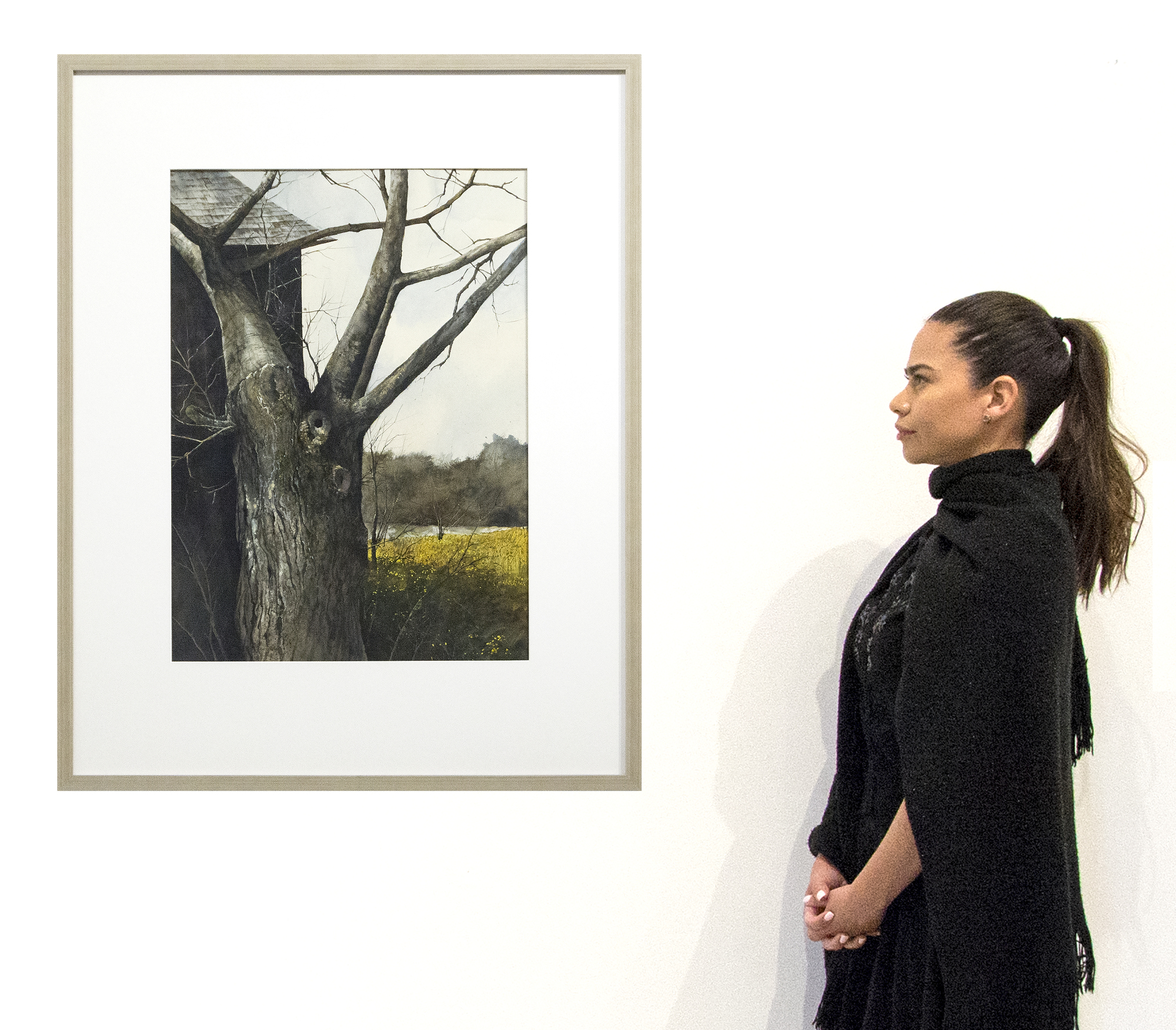 GREGORY SUMIDA - Tree with Bare Branches - watercolor - 22 x 30 in.