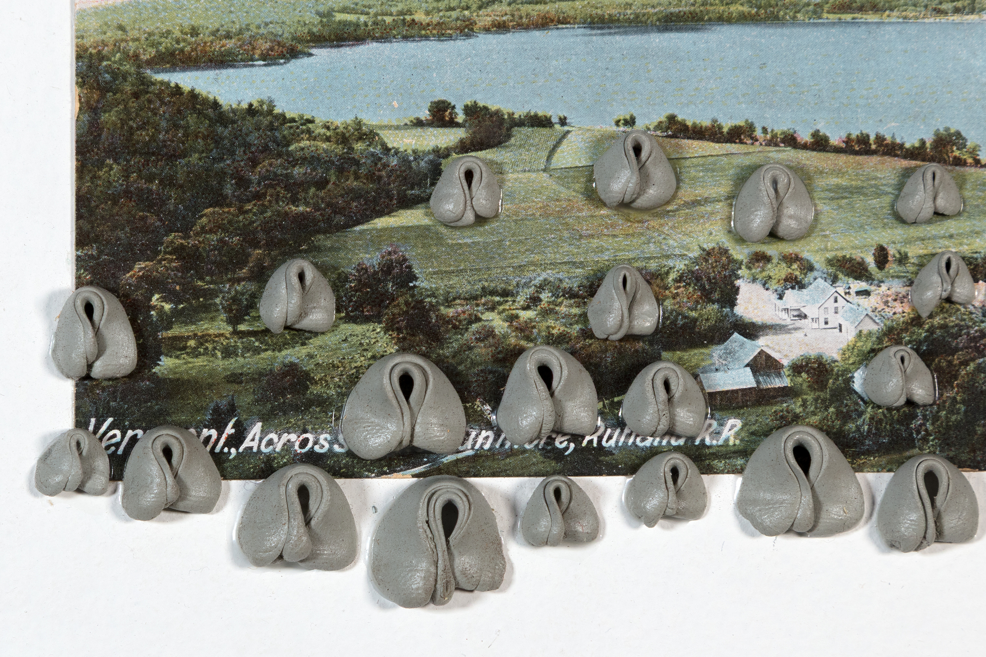 HANNAH WILKE - Vermont - kneaded erasers and postcard mounted on painted panel in plexiglass box - 15 1/2 x 17 1/2 in.