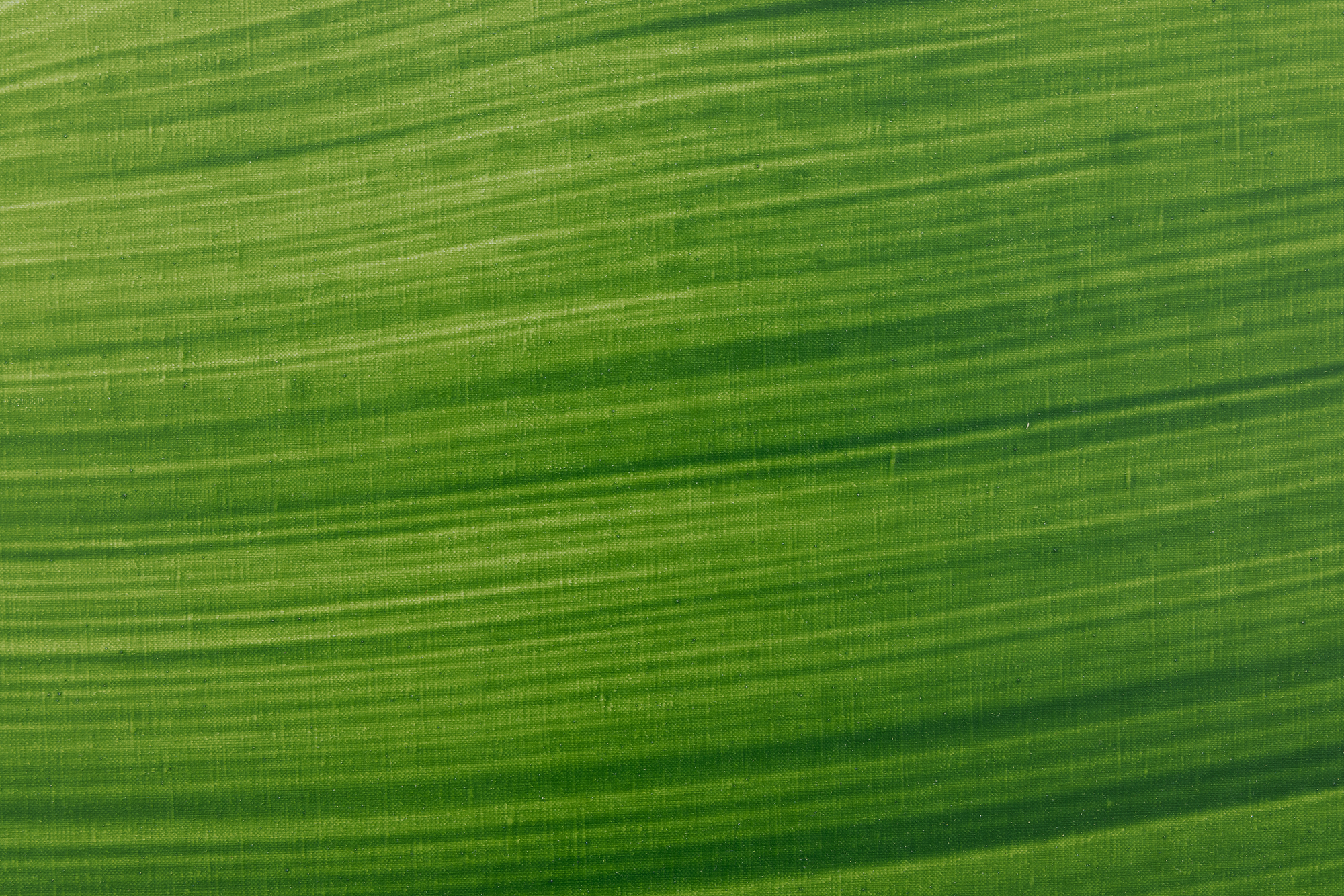 JAMIE NARES - Interpretation of “So Things Go” - oil on canvas - 66 x 84 x 1 1/4 in.