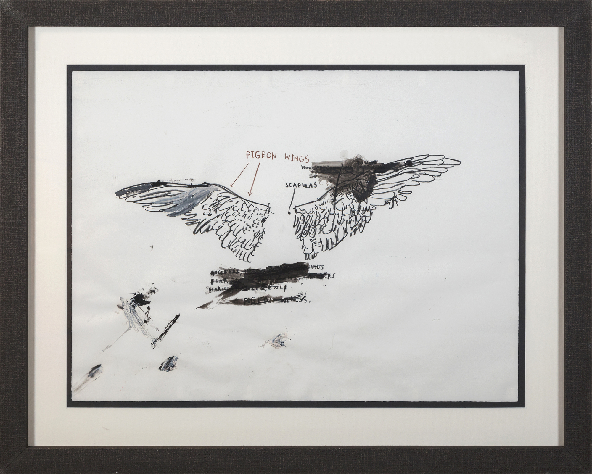 JEAN-MICHEL BASQUIAT - Untitled (Pigeon Anatomy) - oil, graphite, and chalk on paper - 22 x 30 in.