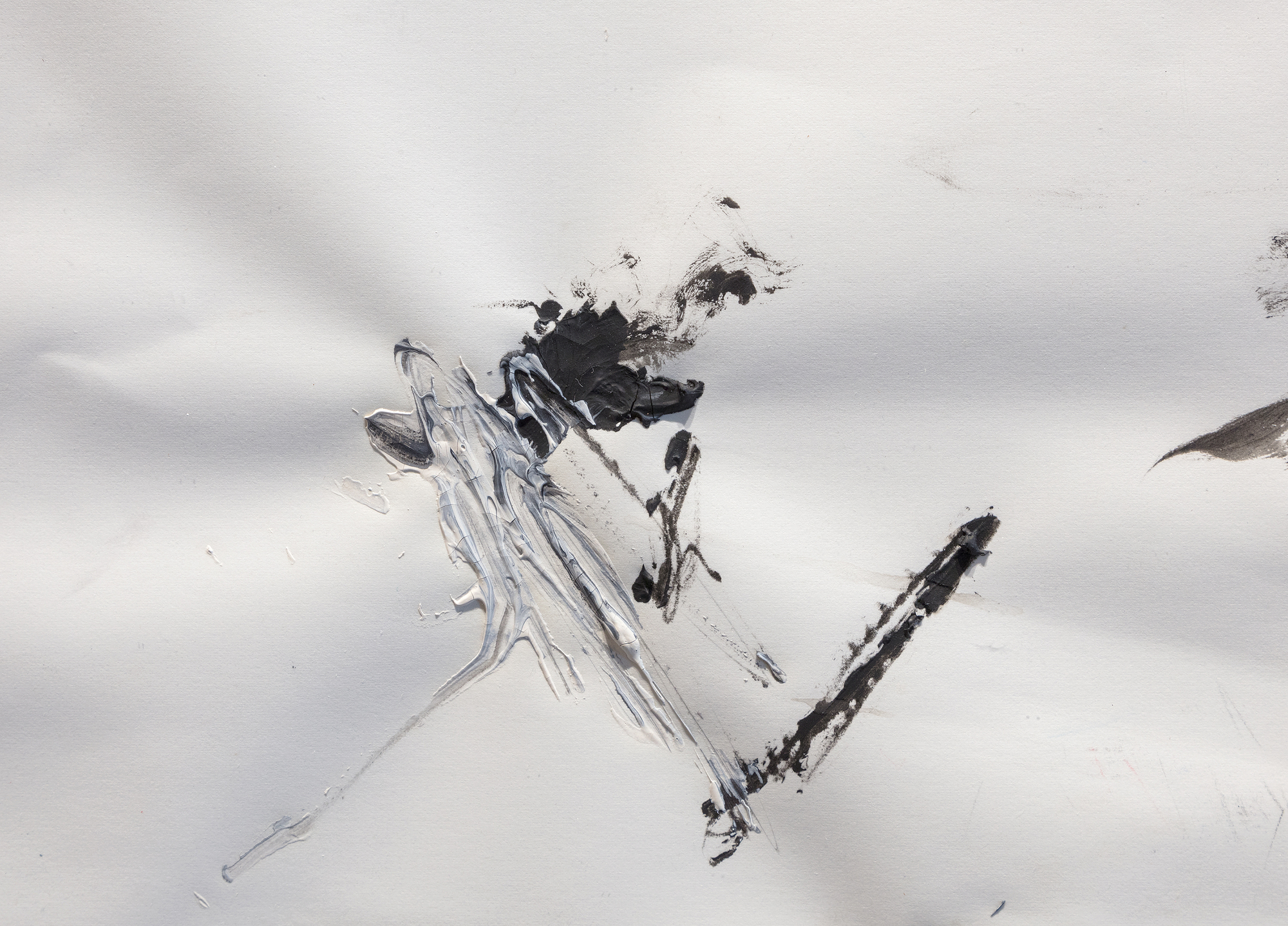 JEAN-MICHEL BASQUIAT - Untitled (Pigeon Anatomy) - oil, graphite, and chalk on paper - 22 x 30 in.