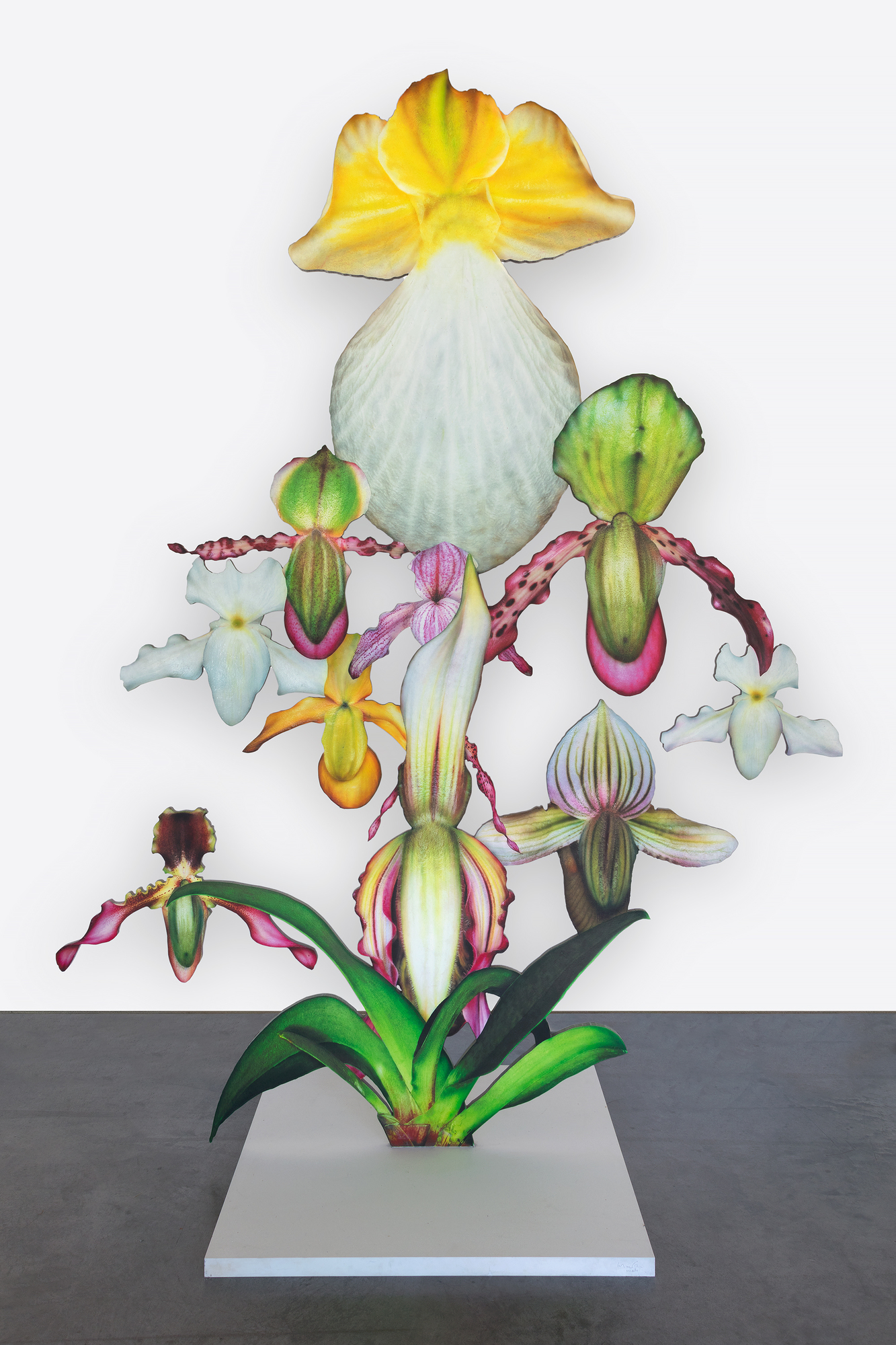 MARC QUINN - Lovebomb - photo laminate on aluminum - 108 1/4 x 71 3/4 x 37 3/4 in.