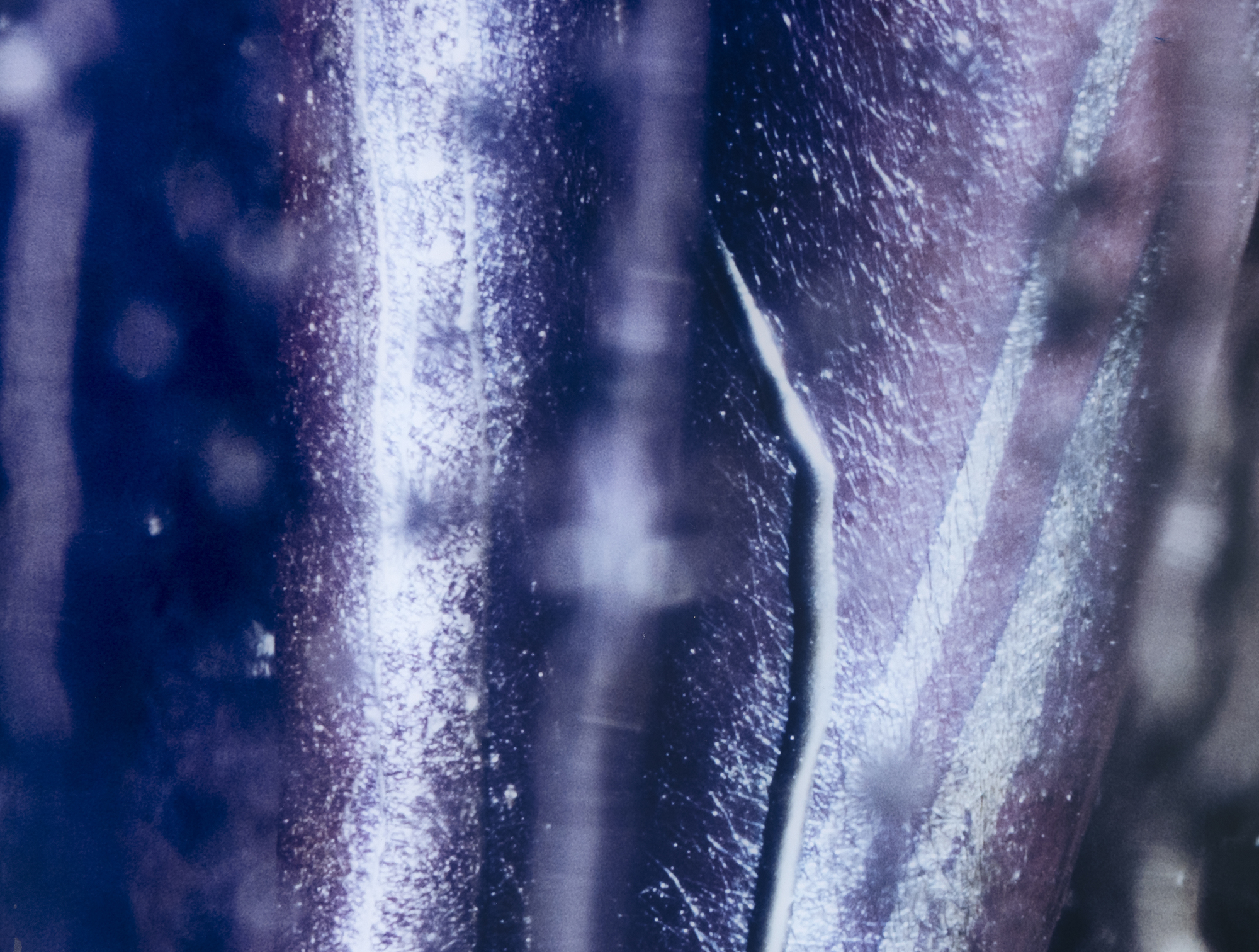 MARILYN MINTER - After Hours MARILYN MINTER - After Hours - chromogenic print - 85 1/2 x 55 3/4 in.