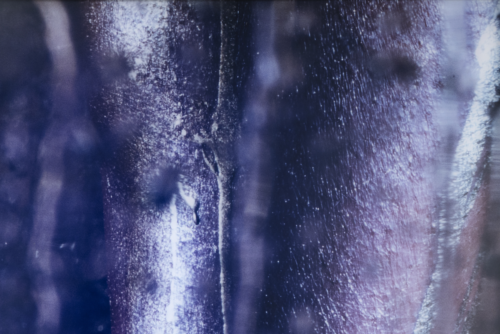 MARILYN MINTER - After Hours - chromogenic print - 85 1/2 x 55 3/4 in.