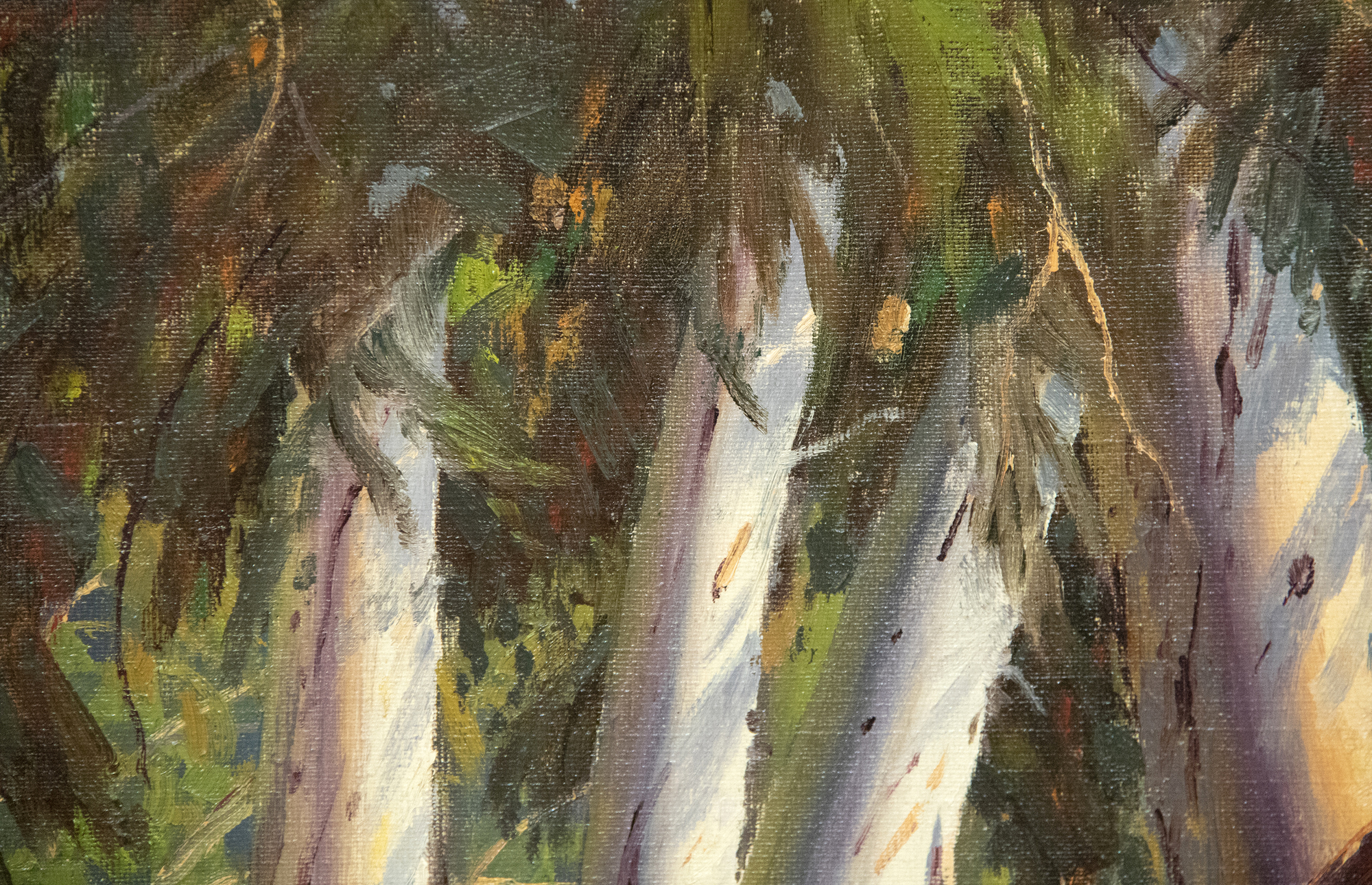 PAUL GRIMM - Rooted Silence PAUL GRIMM - Rooted Silence - oil on board - 20 x 24 in.