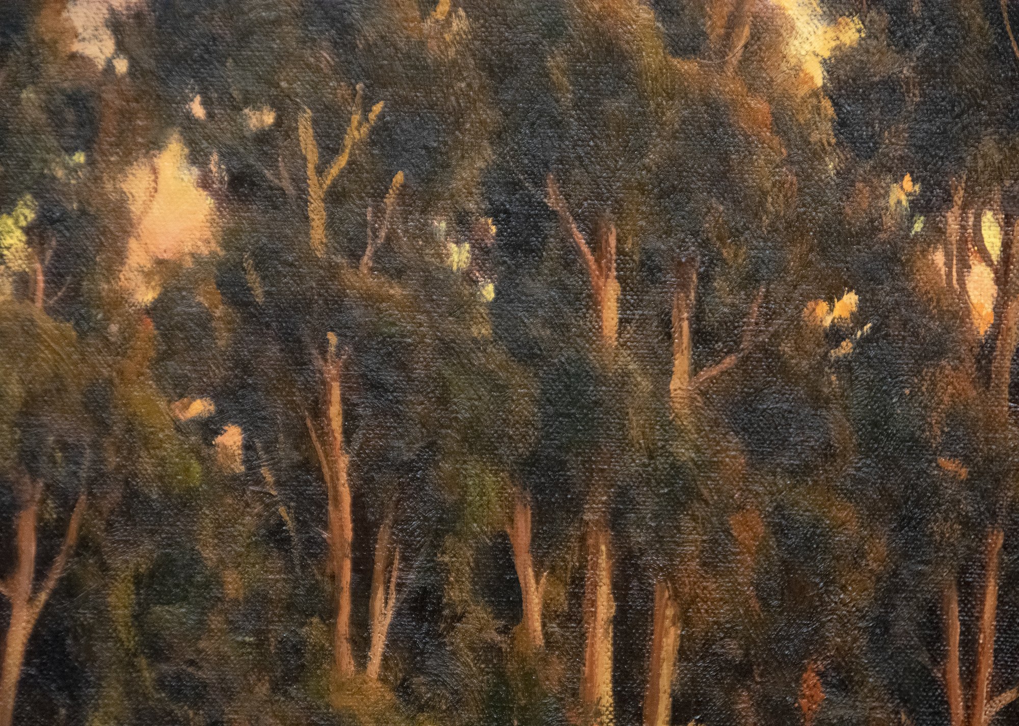RALPH WATERHOUSE - Spring Sunset RALPH WATERHOUSE - Spring Sunset - oil on canvas laid on board - 16 x 20 in.