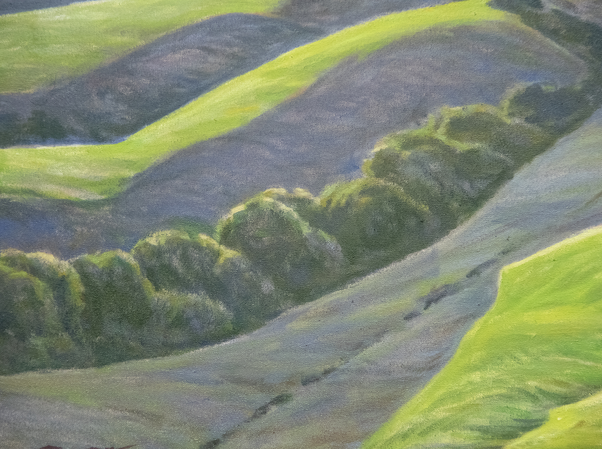 RAY STANFORD STRONG - Spring, Black Mountain, Marin County RAY STANFORD STRONG - Spring, Black Mountain, Marin County - oil on canvas - 24 x 44 in.