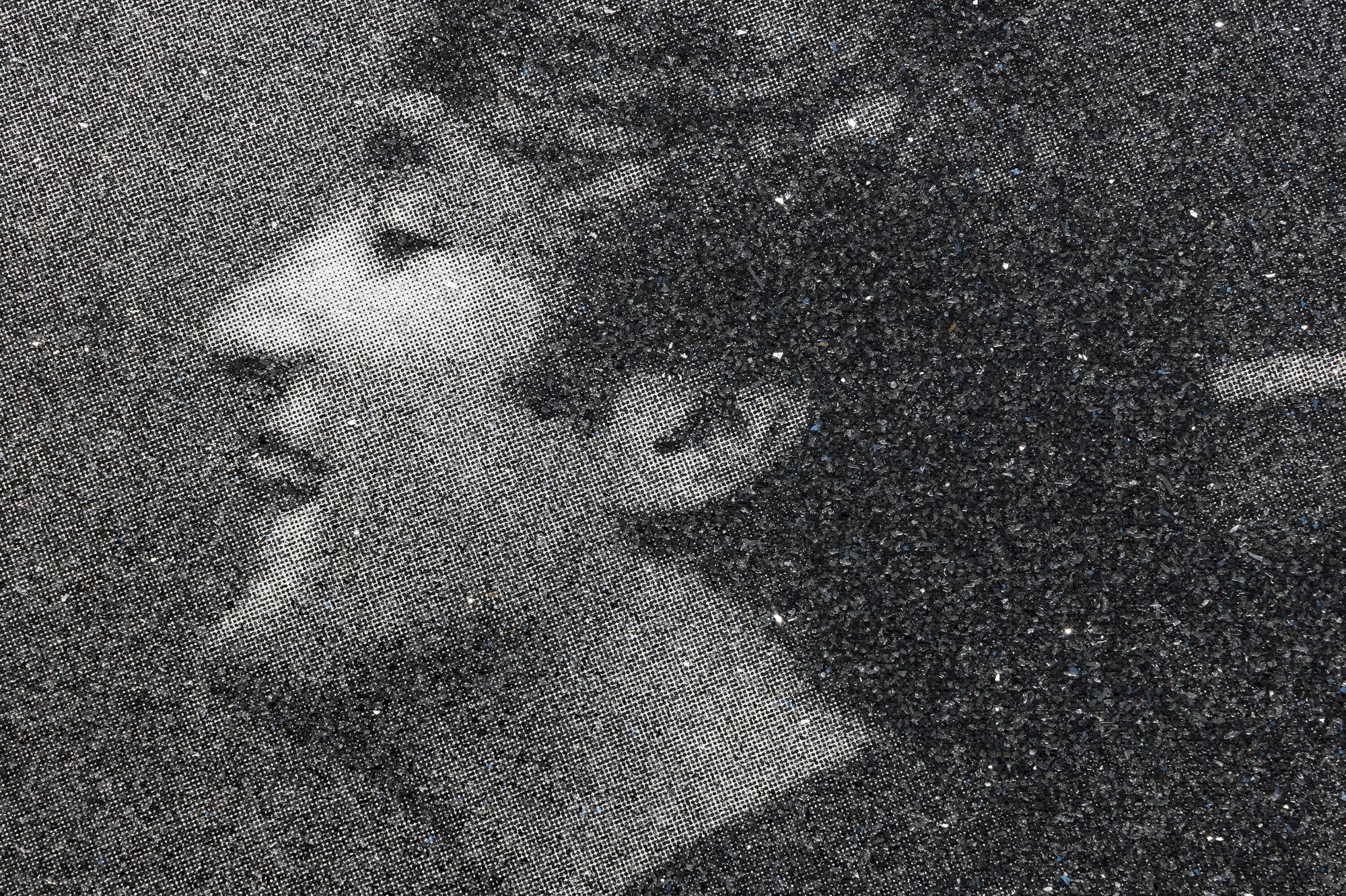 RUSSELL YOUNG - Beatlemania - acrylic, oil based ink, and diamond dust screenprint on linen - 36 x 60 in.