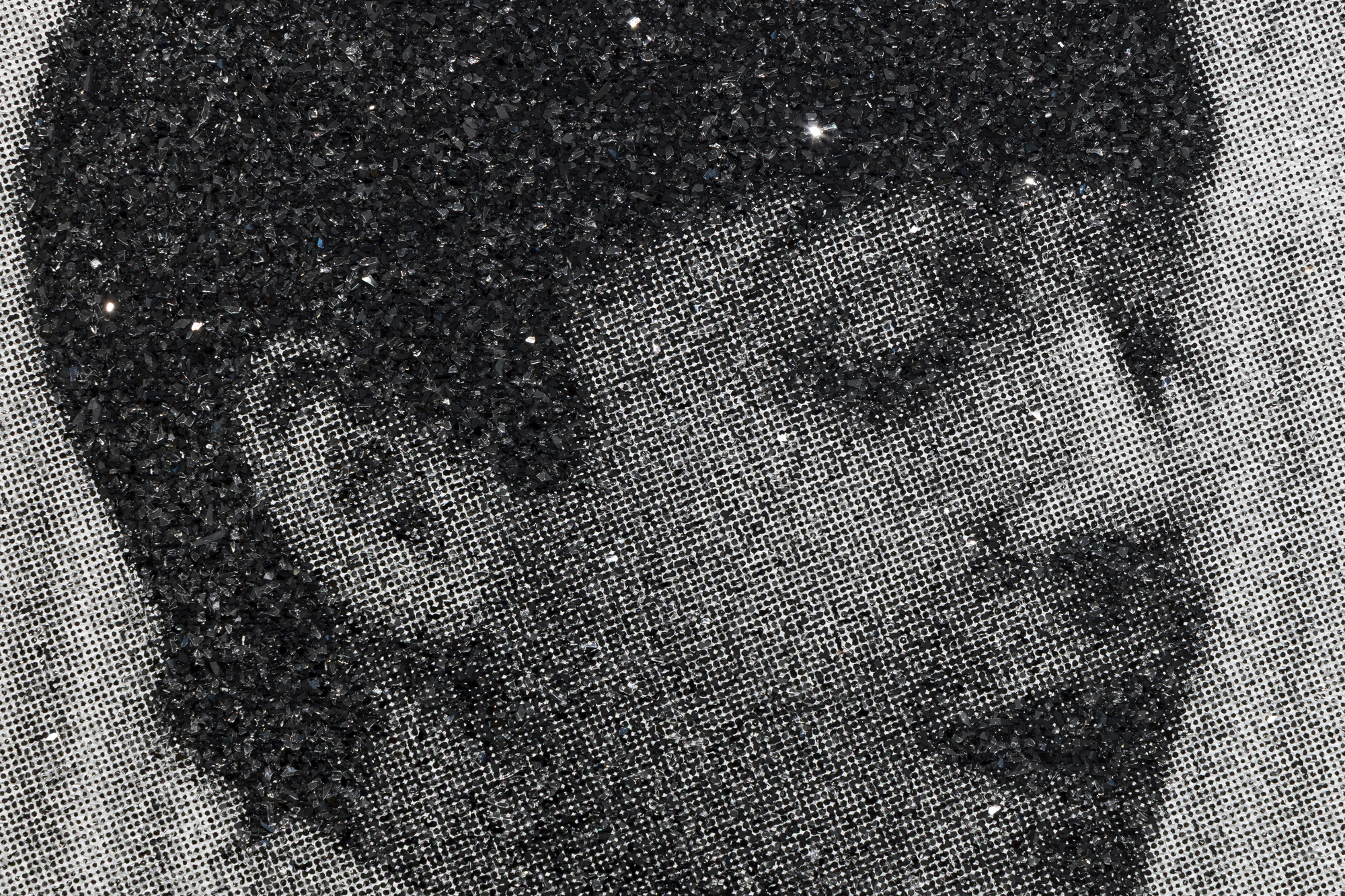 RUSSELL YOUNG - Beatlemania - acrylic, oil based ink, and diamond dust screenprint on linen - 36 x 60 in.